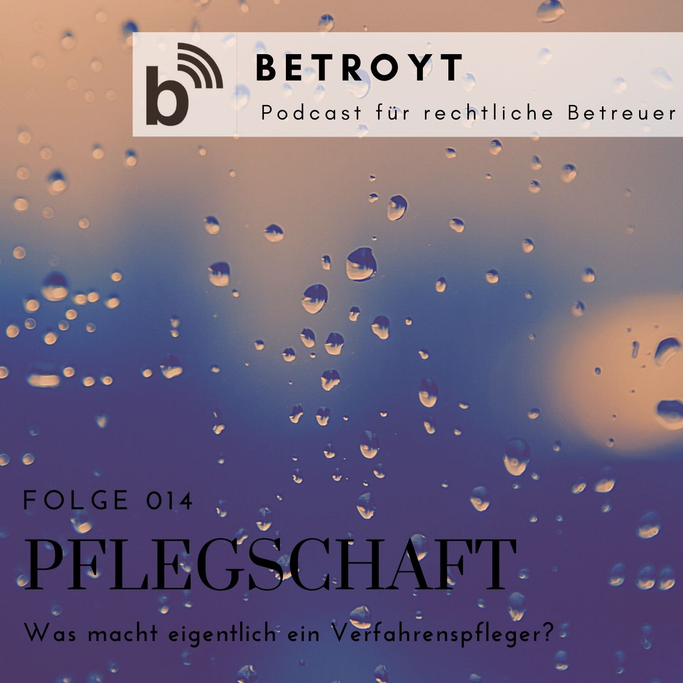 Folge 014 Pflegschaft  - Was macht eigentlich ein Verfahrenspfleger?