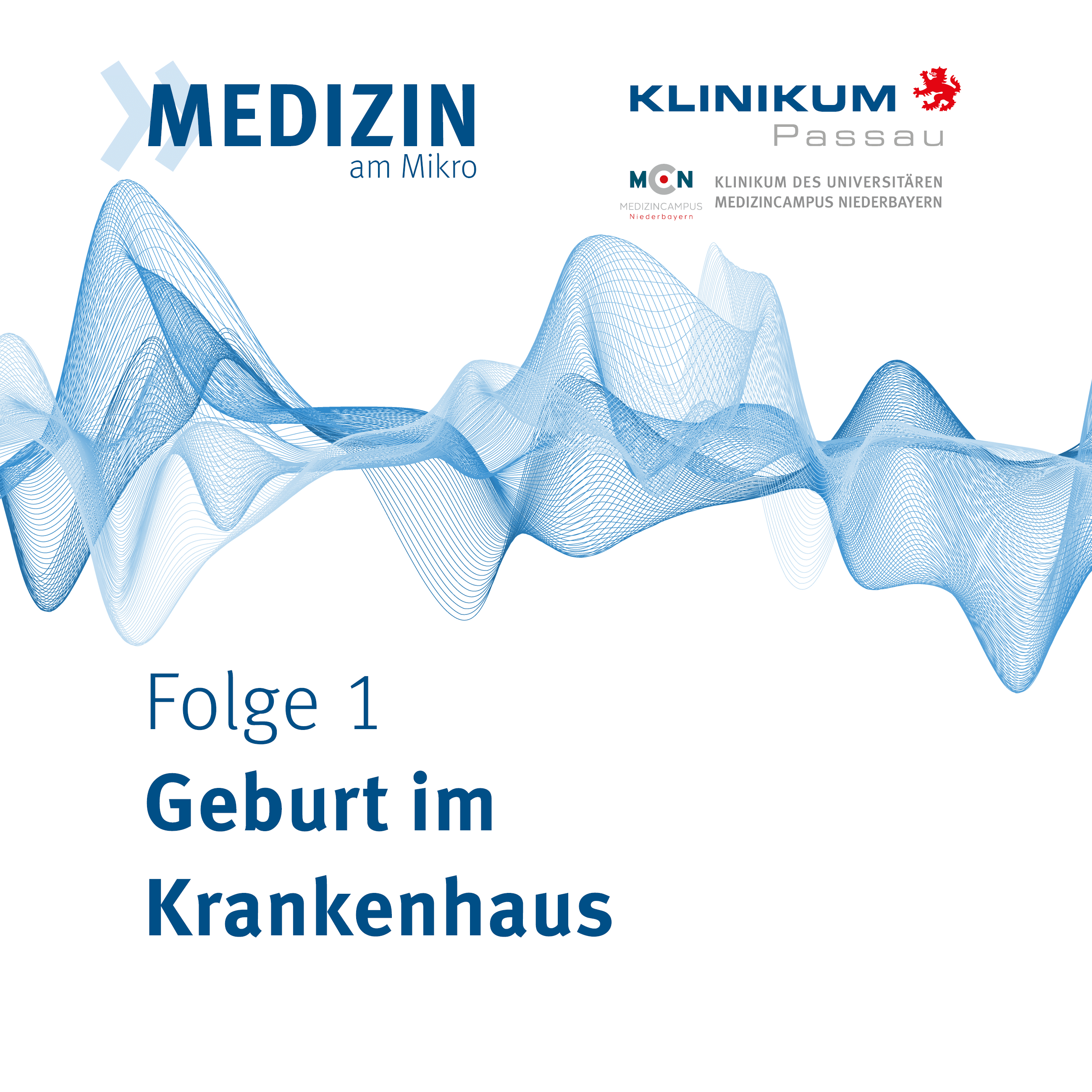 Geburt im Krankenhaus episode artwork