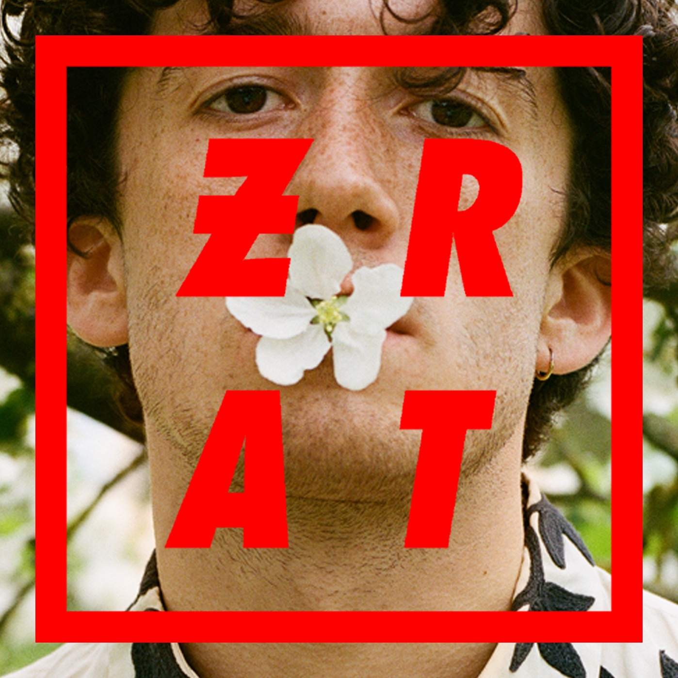 Zart Bleiben