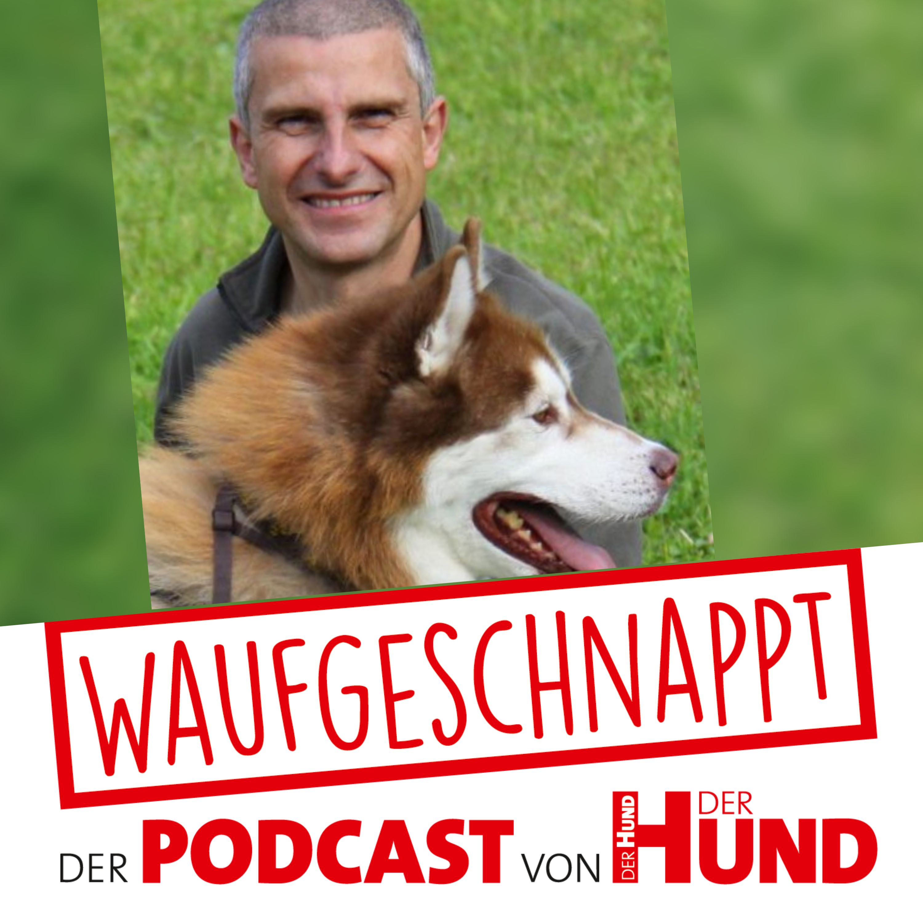 Waufgeschnappt - der Podcast von DER HUND