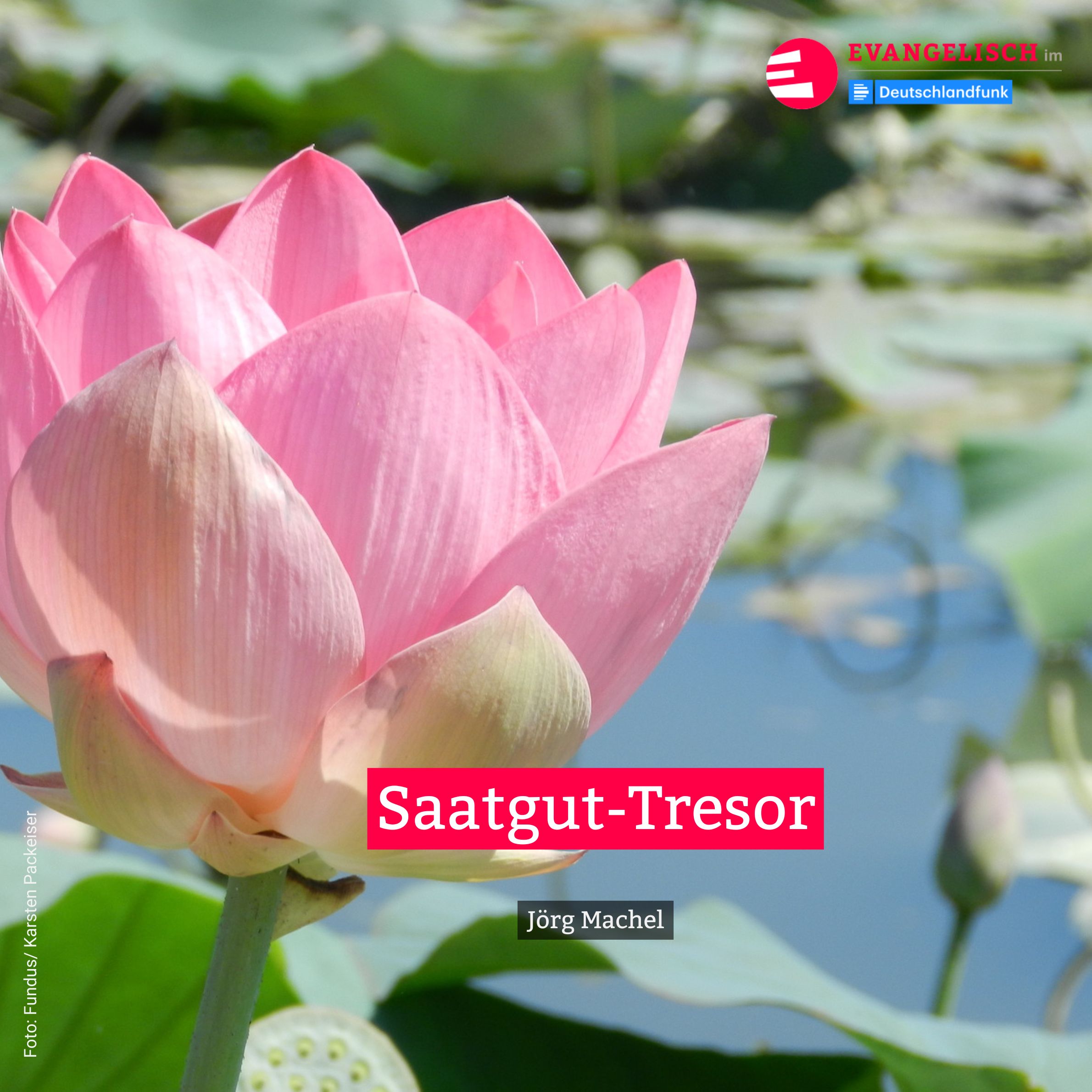 Saatgut-Tresor episode artwork