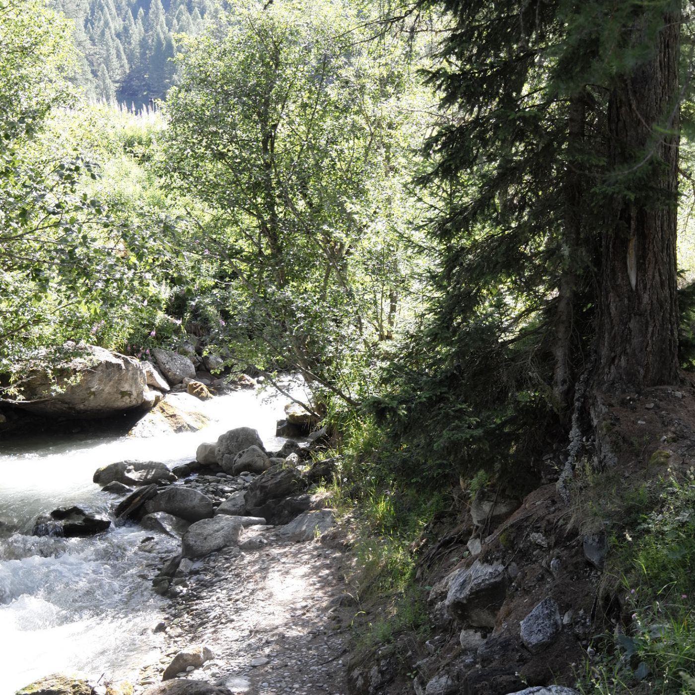 Die Natur und die Stadt