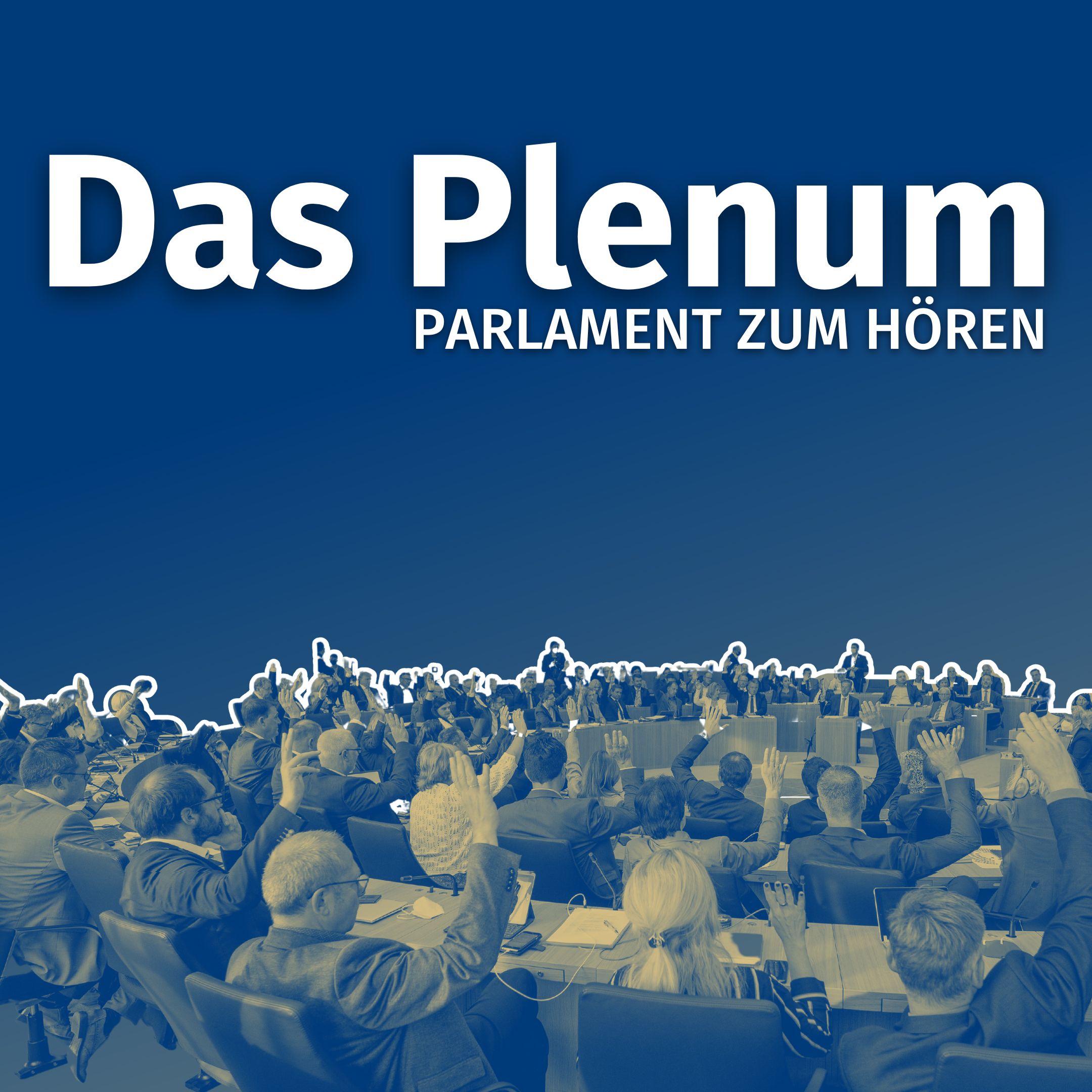 Das Plenum - Parlament zum Hören