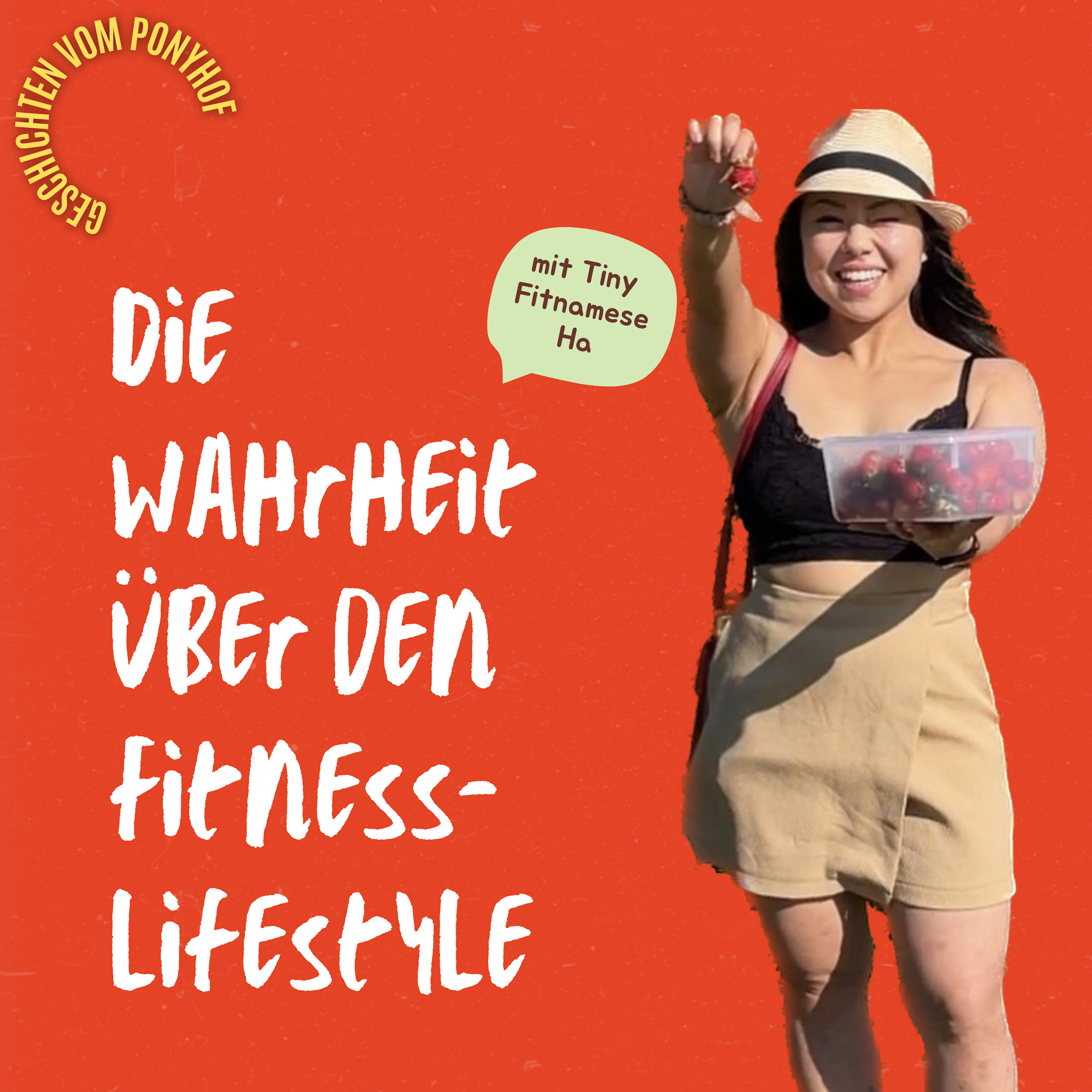 Geschichten vom Ponyhof