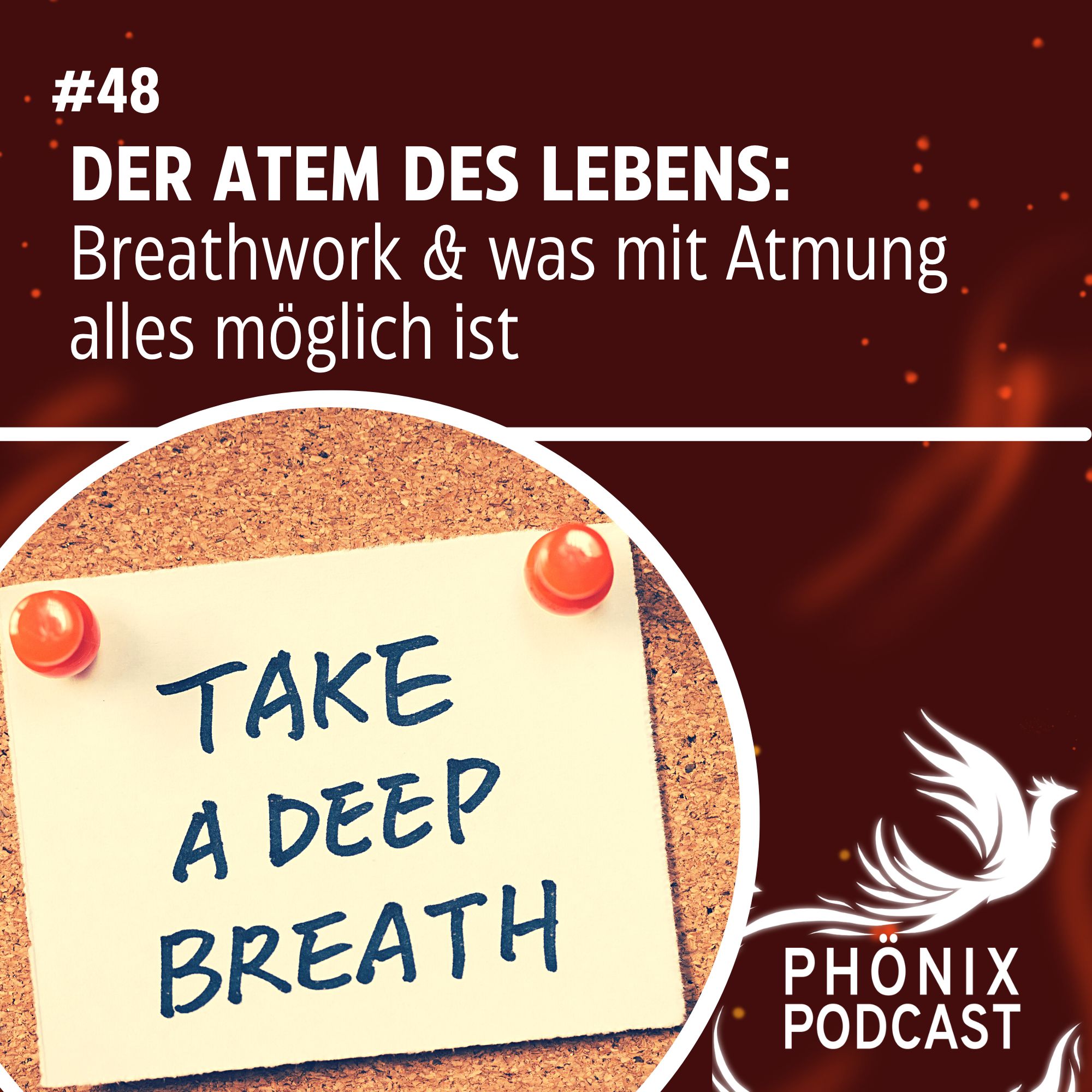 DER ATEM DES LEBENS: Breathwork & was mit Atmung alles möglich ist #48 - podcast episode cover