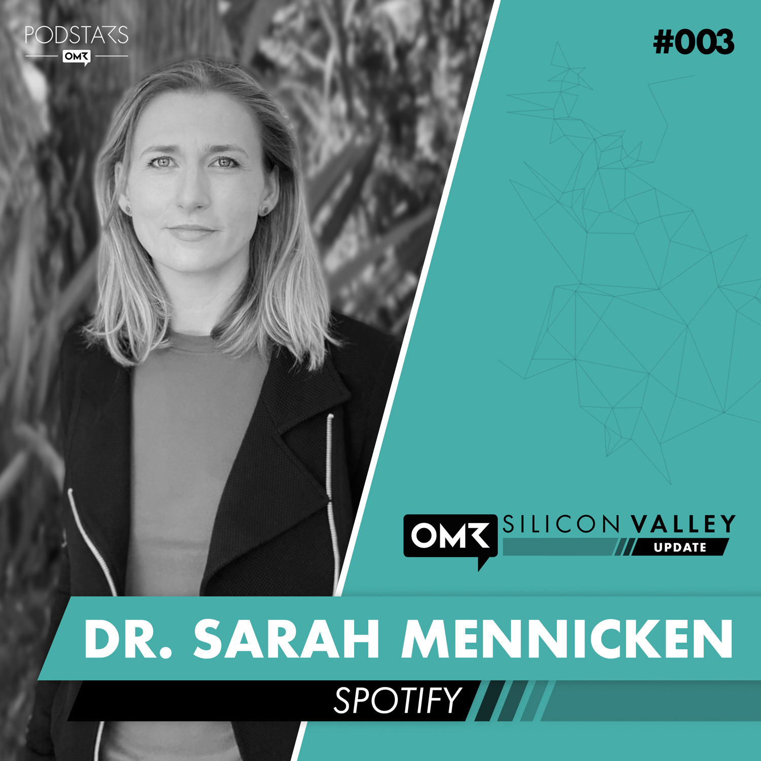 OMR Silicon Valley Update