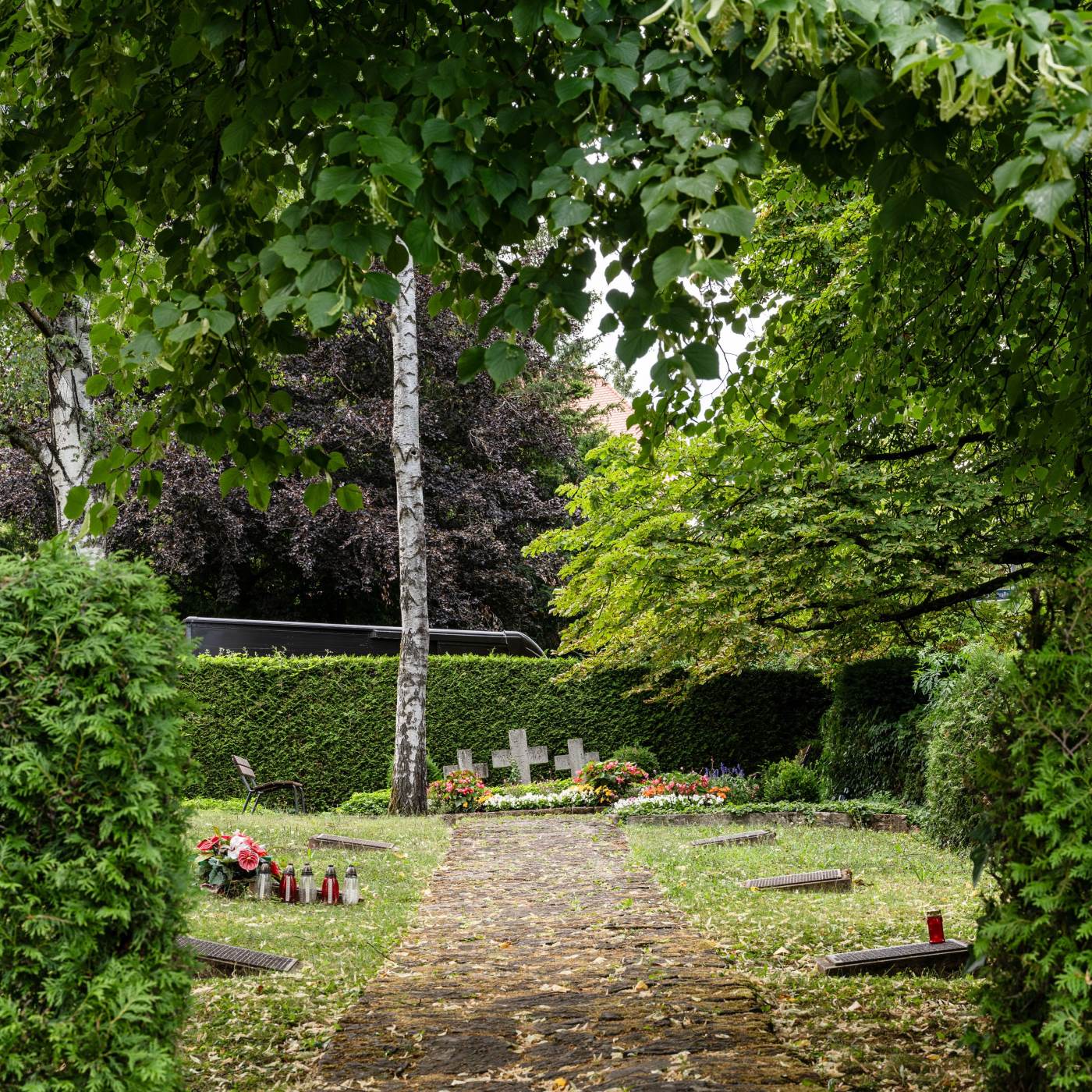 A-029: "Gräberfeld X" in Tübingen - Geschichte und Erinnerung, mit Prof. Dr. Benigna Schönhagen und Stefan Wannenwetsch