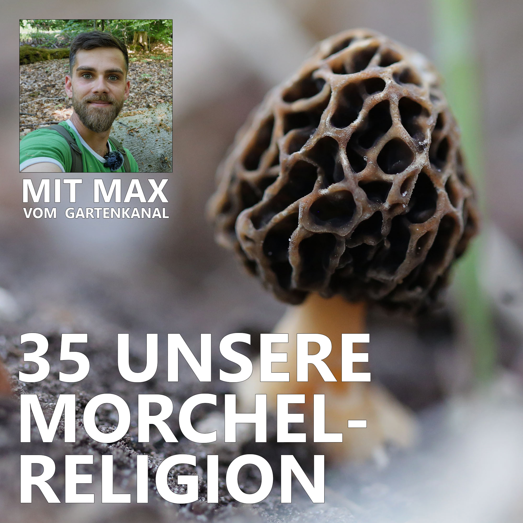 Der Pilzpodcast