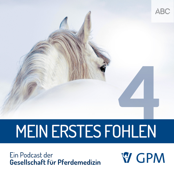 Pferdemedizin heute