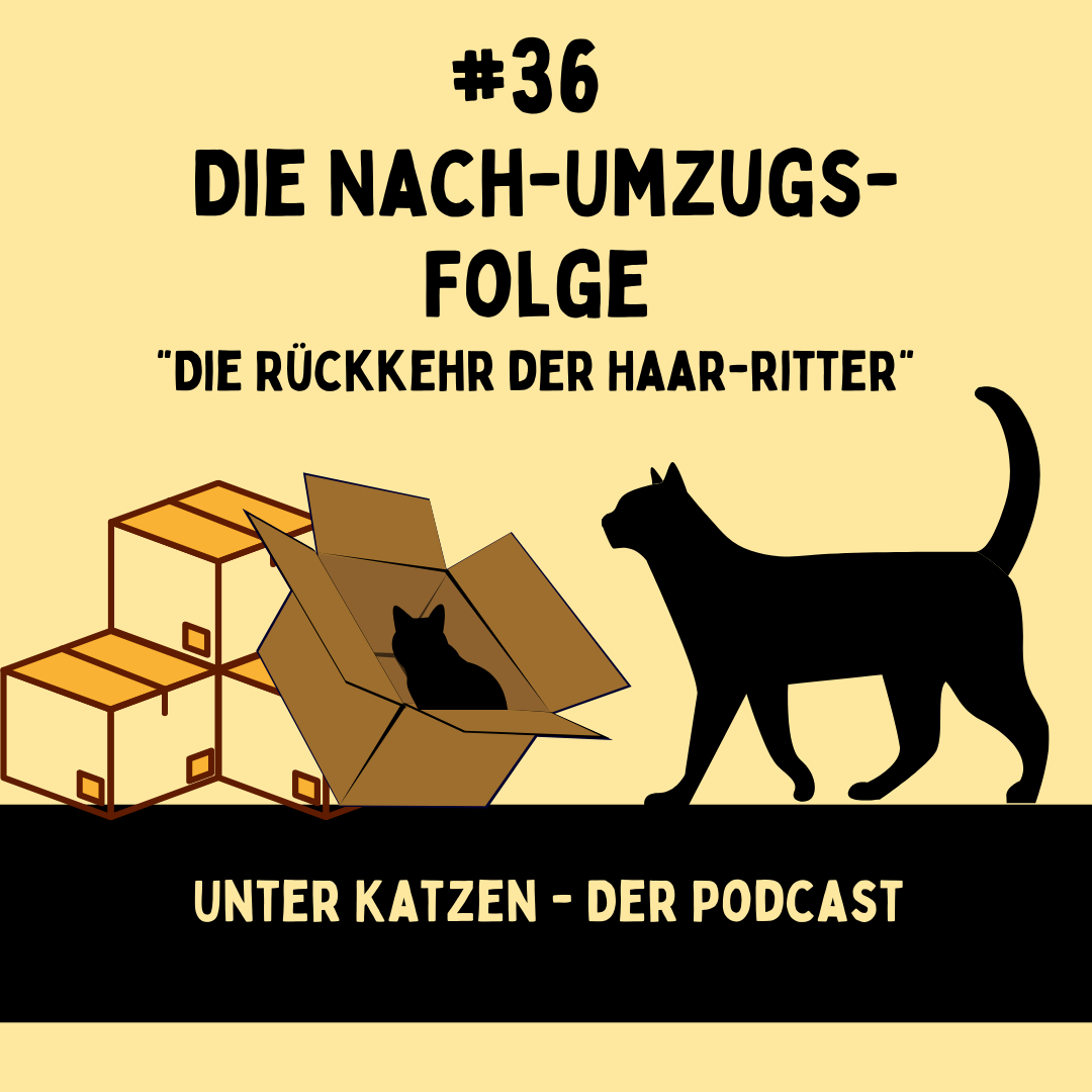 #36 Die Nach-Umzugs-Folge