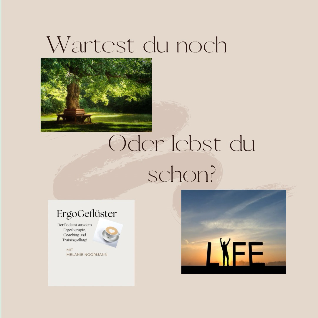 ErgoGeflüster