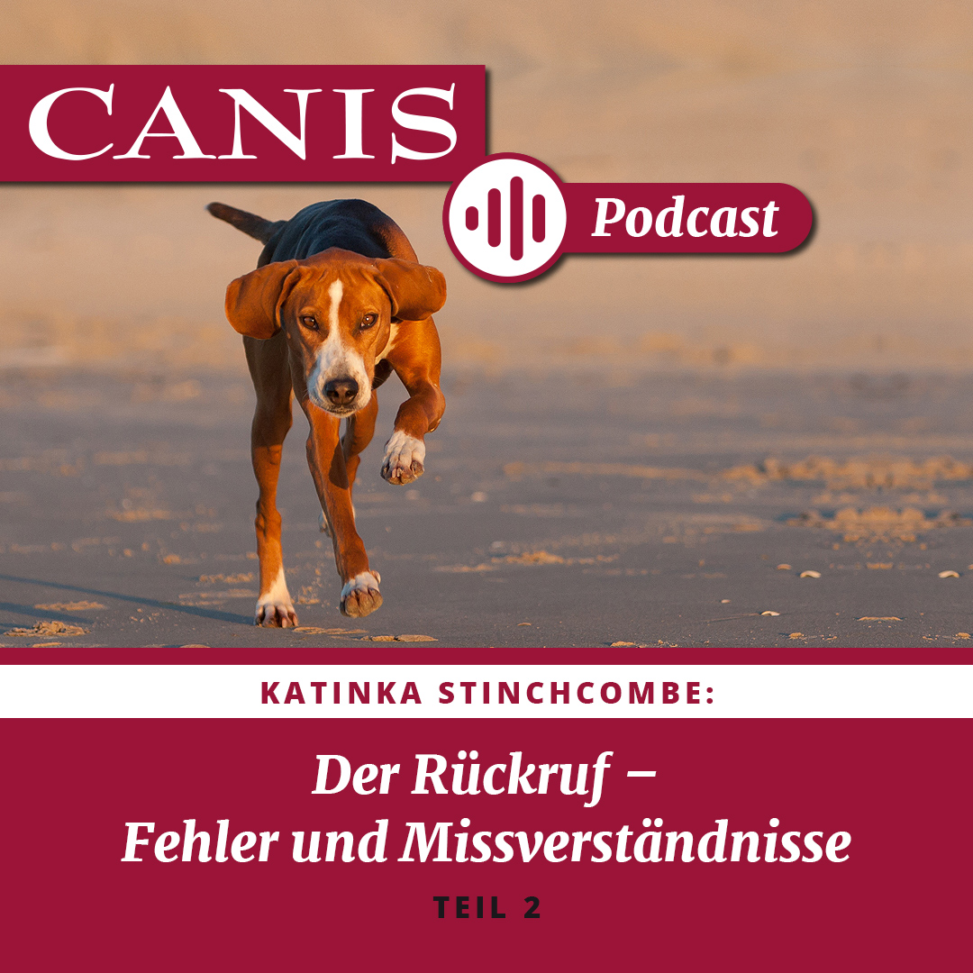 Der CANIS-Podcast – Hundeexpert:innen ausgefragt