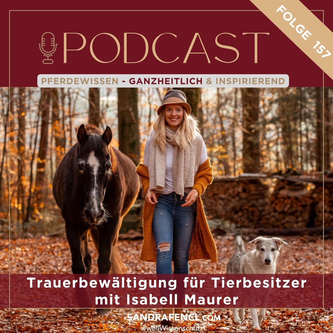 Pferdewissen - ganzheitlich & inspirierend mit Sandra Fencl