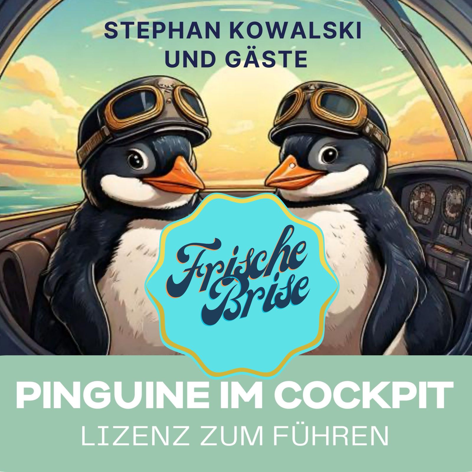 Pinguine im Cockpit - Lizenz Zum Führen