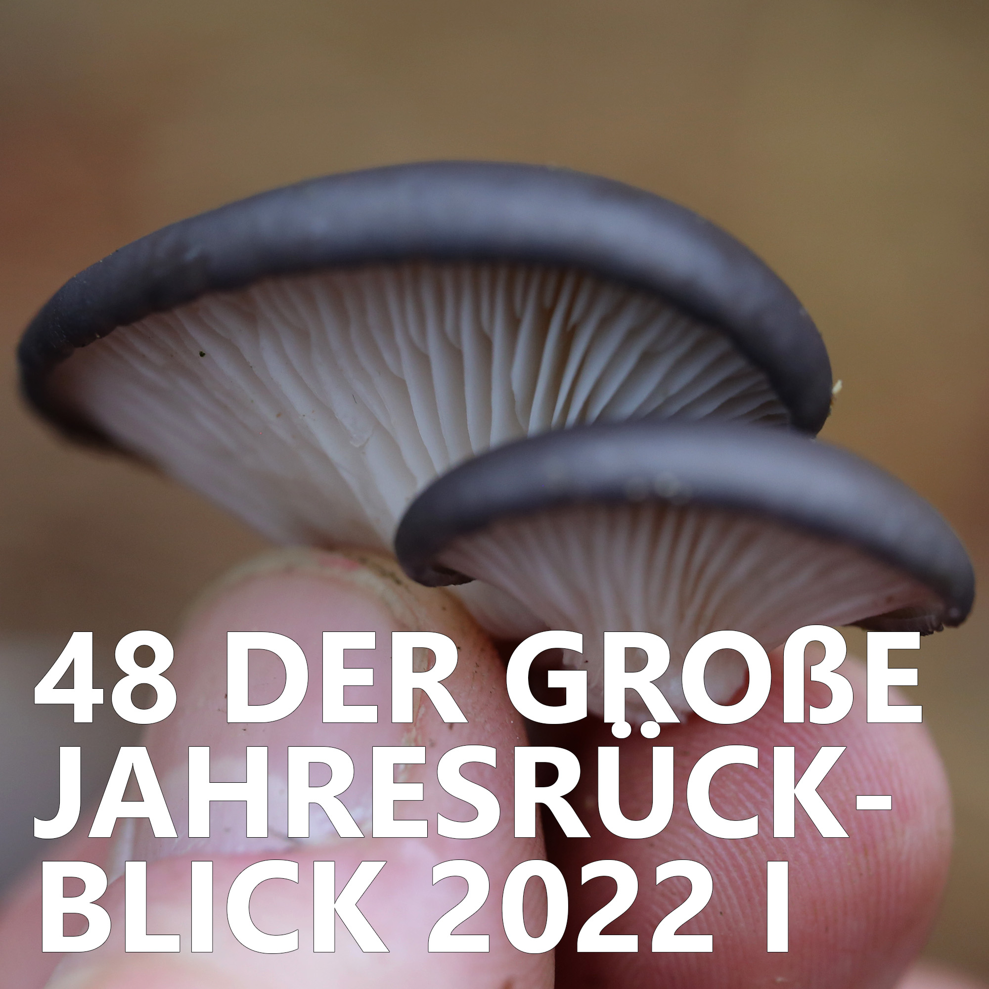 Der Pilzpodcast