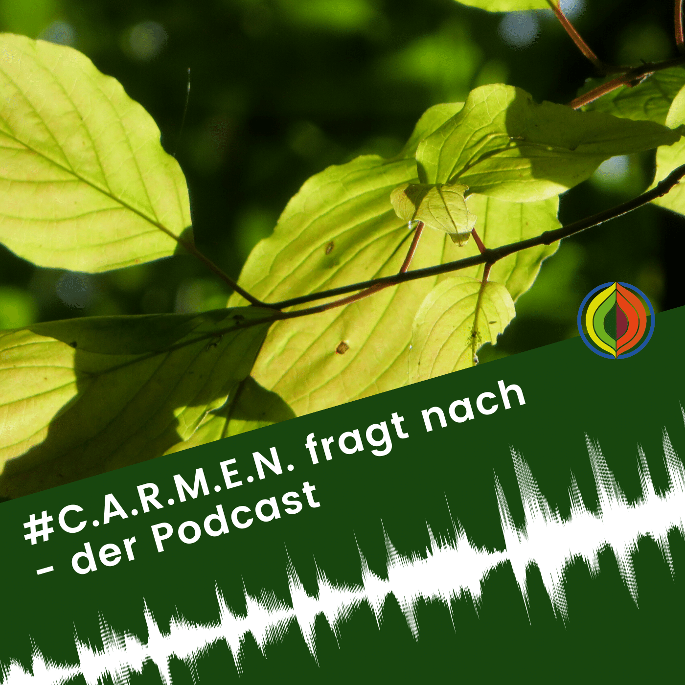 #carmenfragtnach - Der Podcast von C.A.R.M.E.N. e.V.