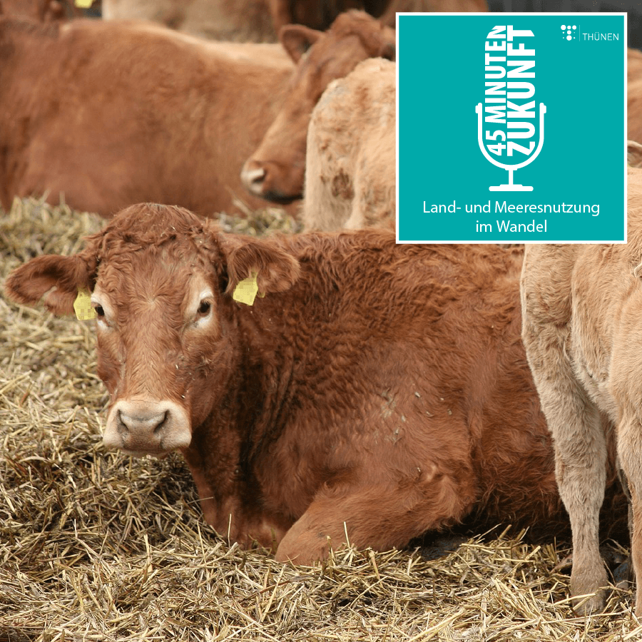 45 Minuten Zukunft. Land- und Meeresnutzung im Wandel