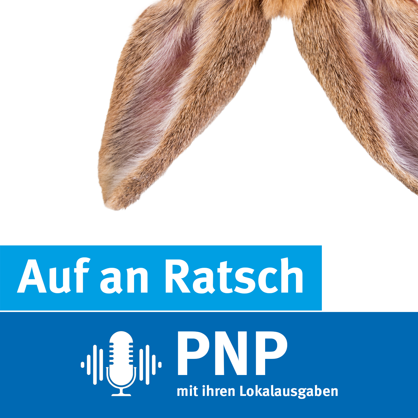 Auf An Ratsch Der Menschen Podcast Der Pnp