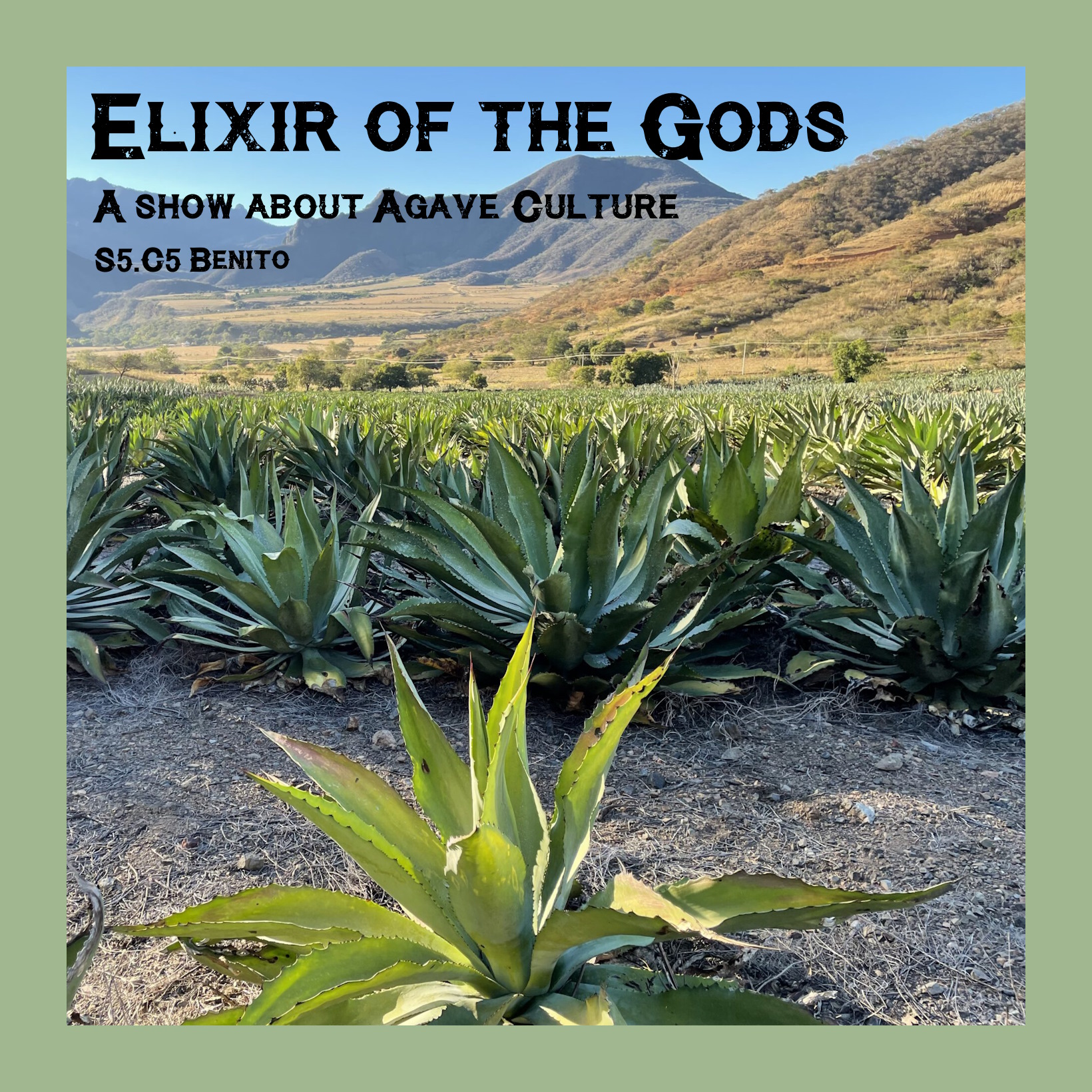 Elixir of the Gods