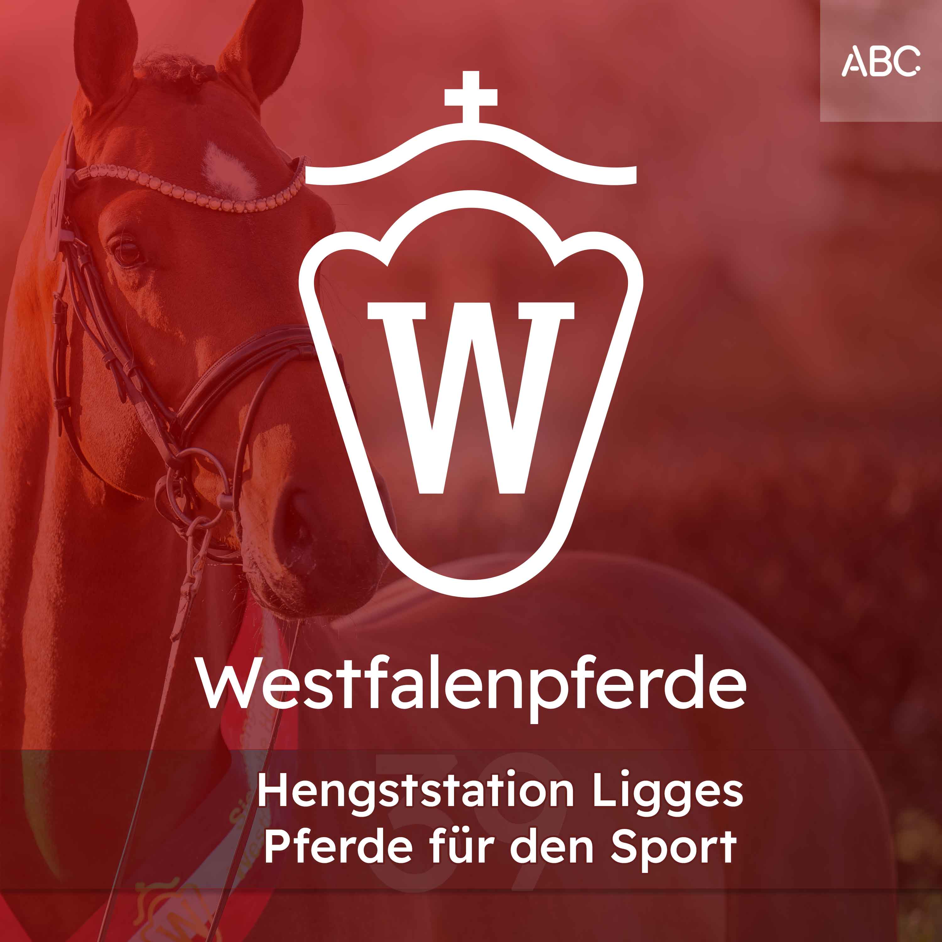 Westfalenpferde - Der Podcast