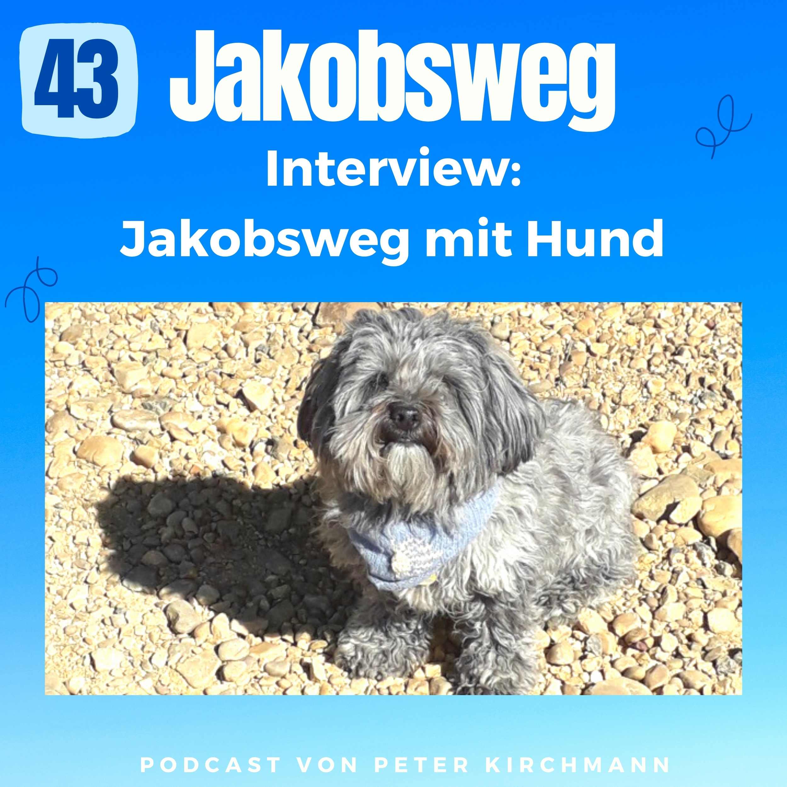 Jakobsweg - Dein Podcast für den Camino de Santiago