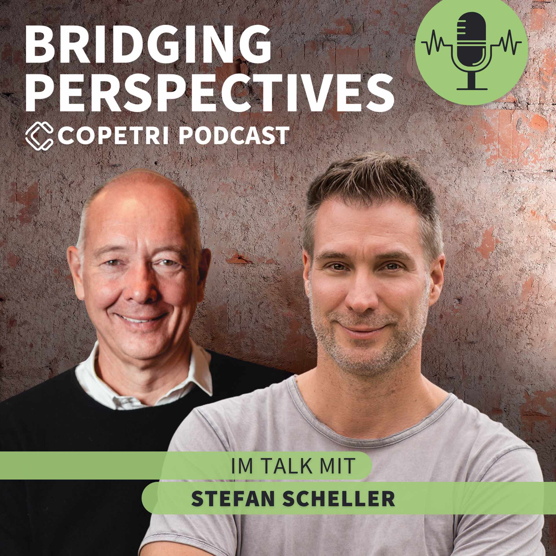 Bridging Perspectives - COPETRI Podcast