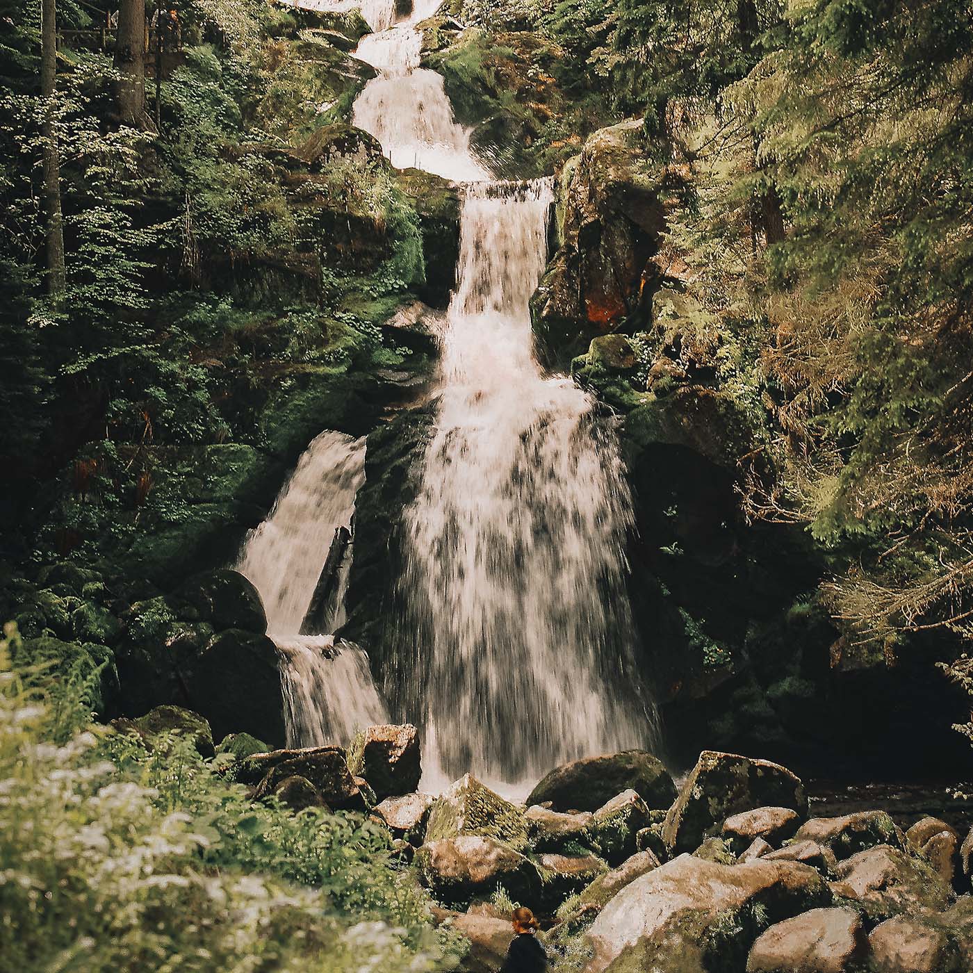 Schwarzwald-Podcast