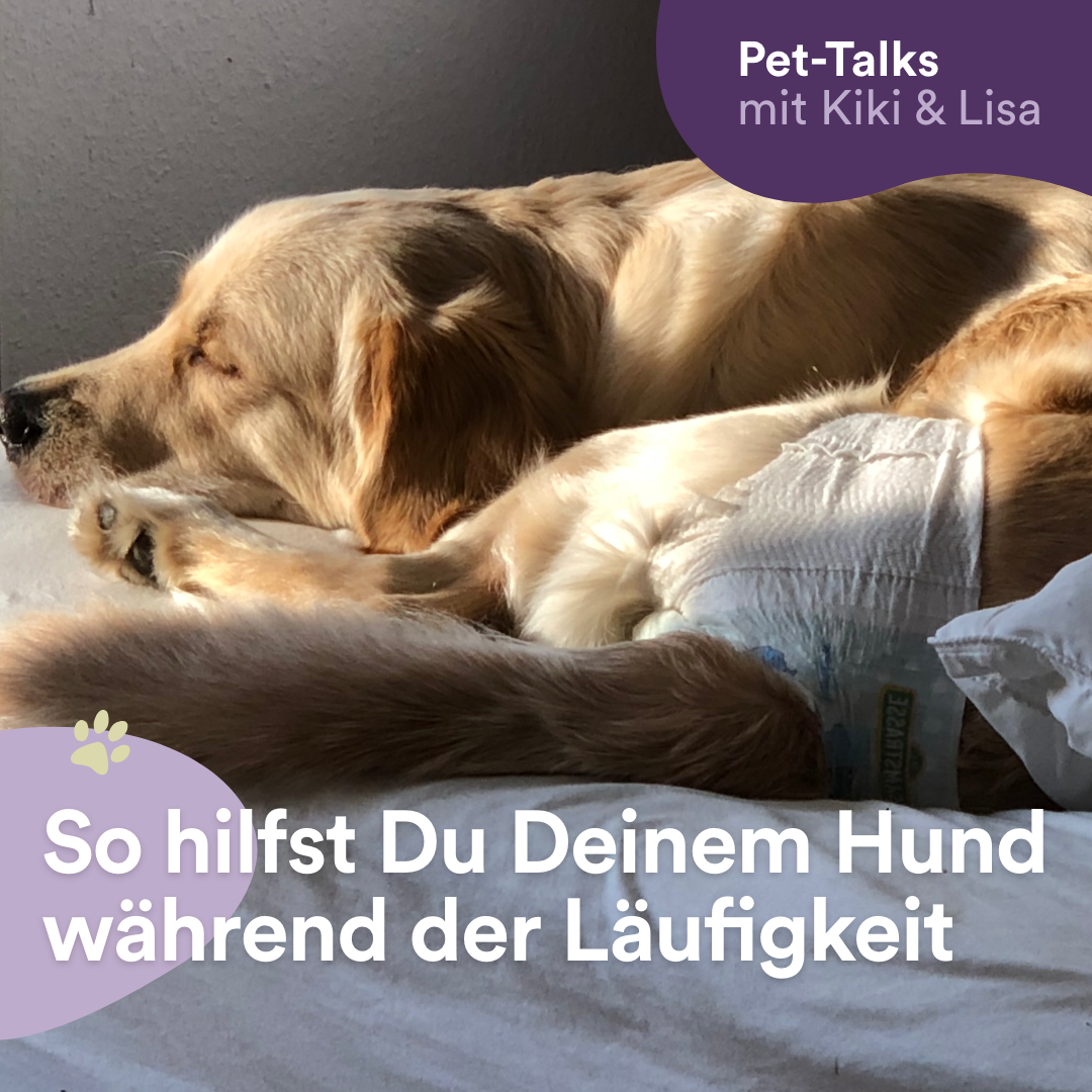 Pet-Talks mit Kiki & Lisa - der Hunde-Podcast von DeineTierwelt