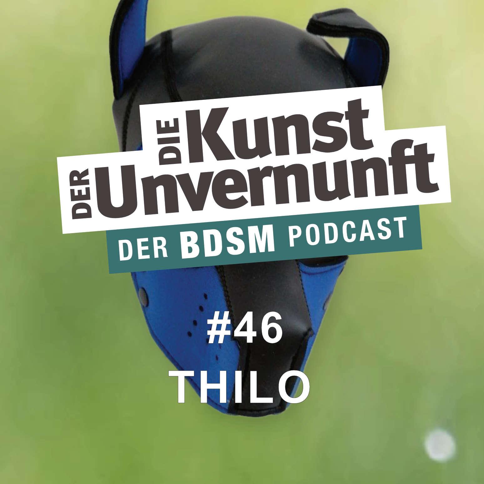 BDSM - Die Kunst der Unvernunft