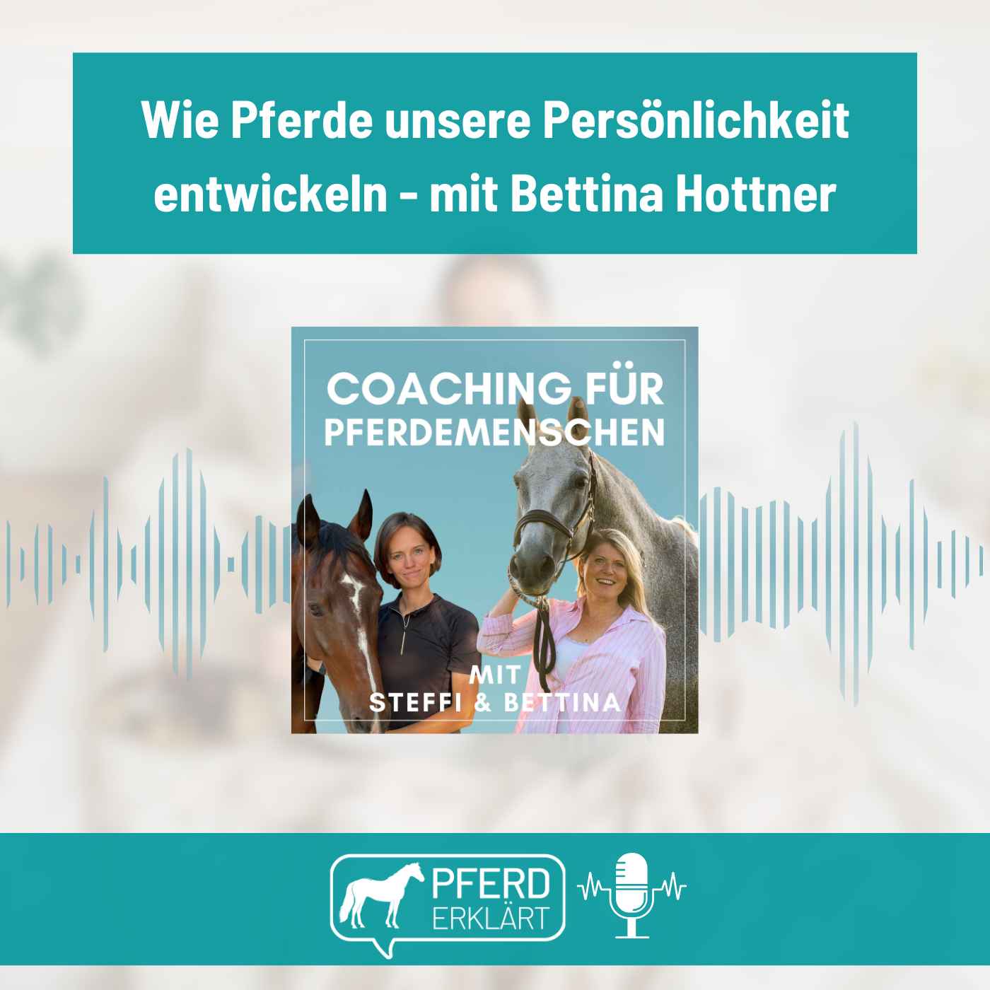 Pferd erklärt