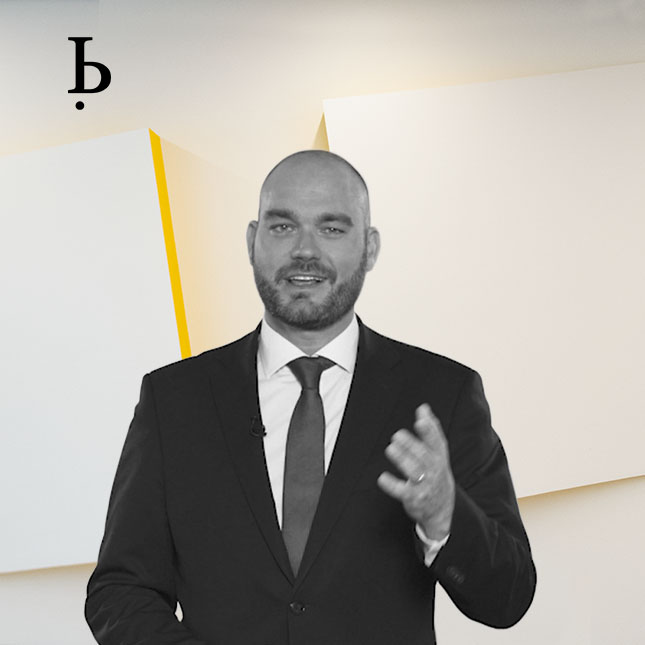 BARDEHLE IP Experts