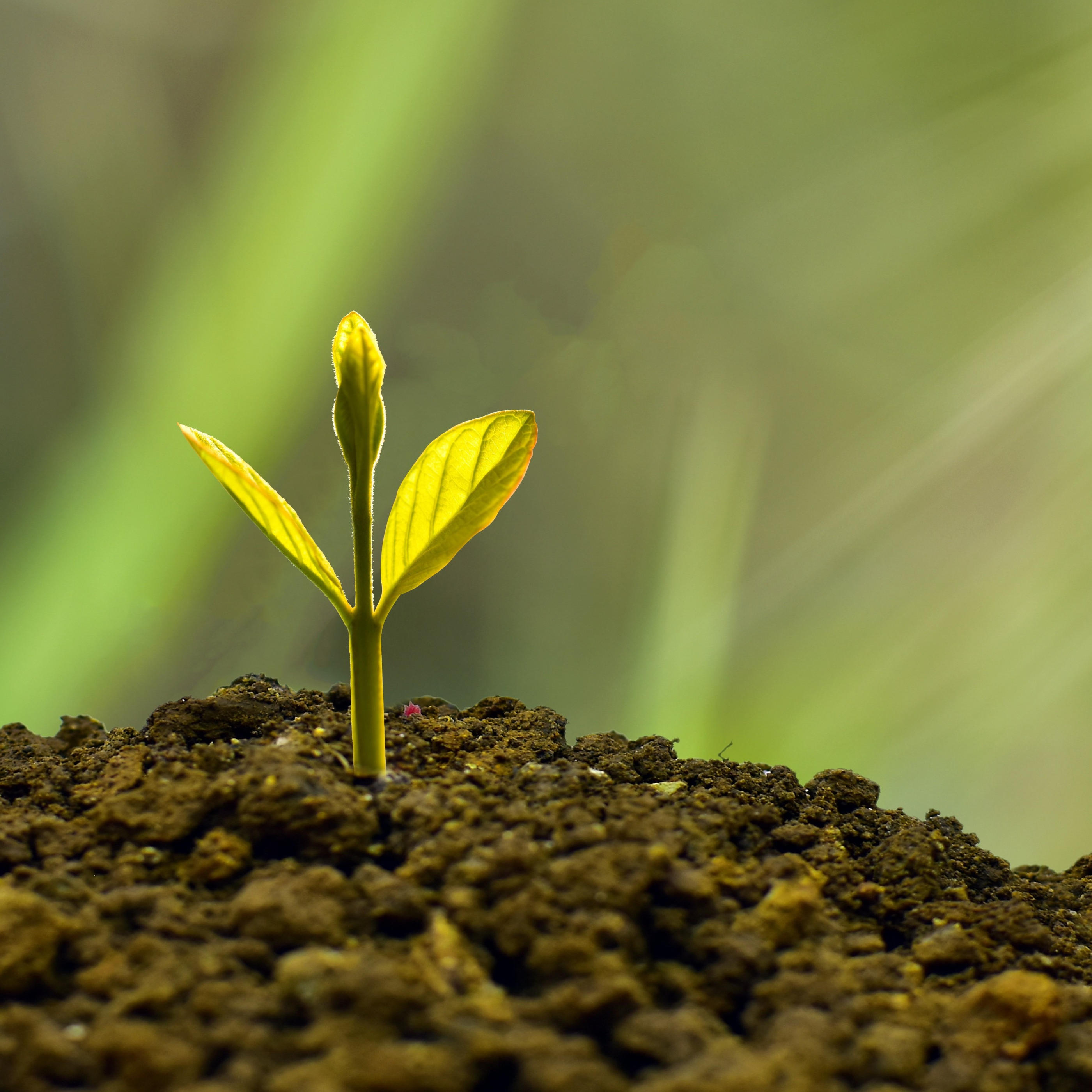 UnternehmerTUN - Werde zum Unternehmer