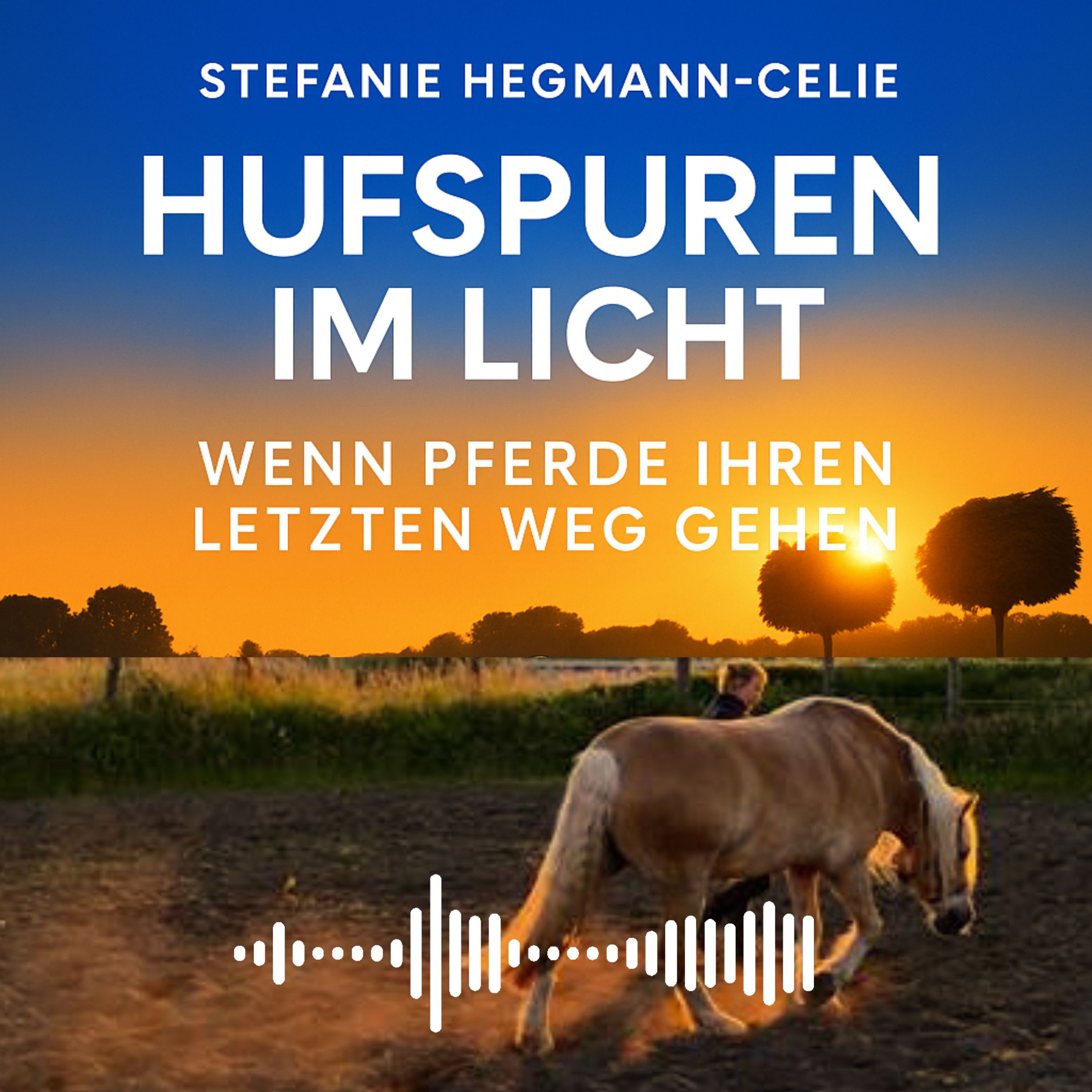 Hufspuren im Licht - Wenn Pferde ihren letzten Weg gehen episode artwork