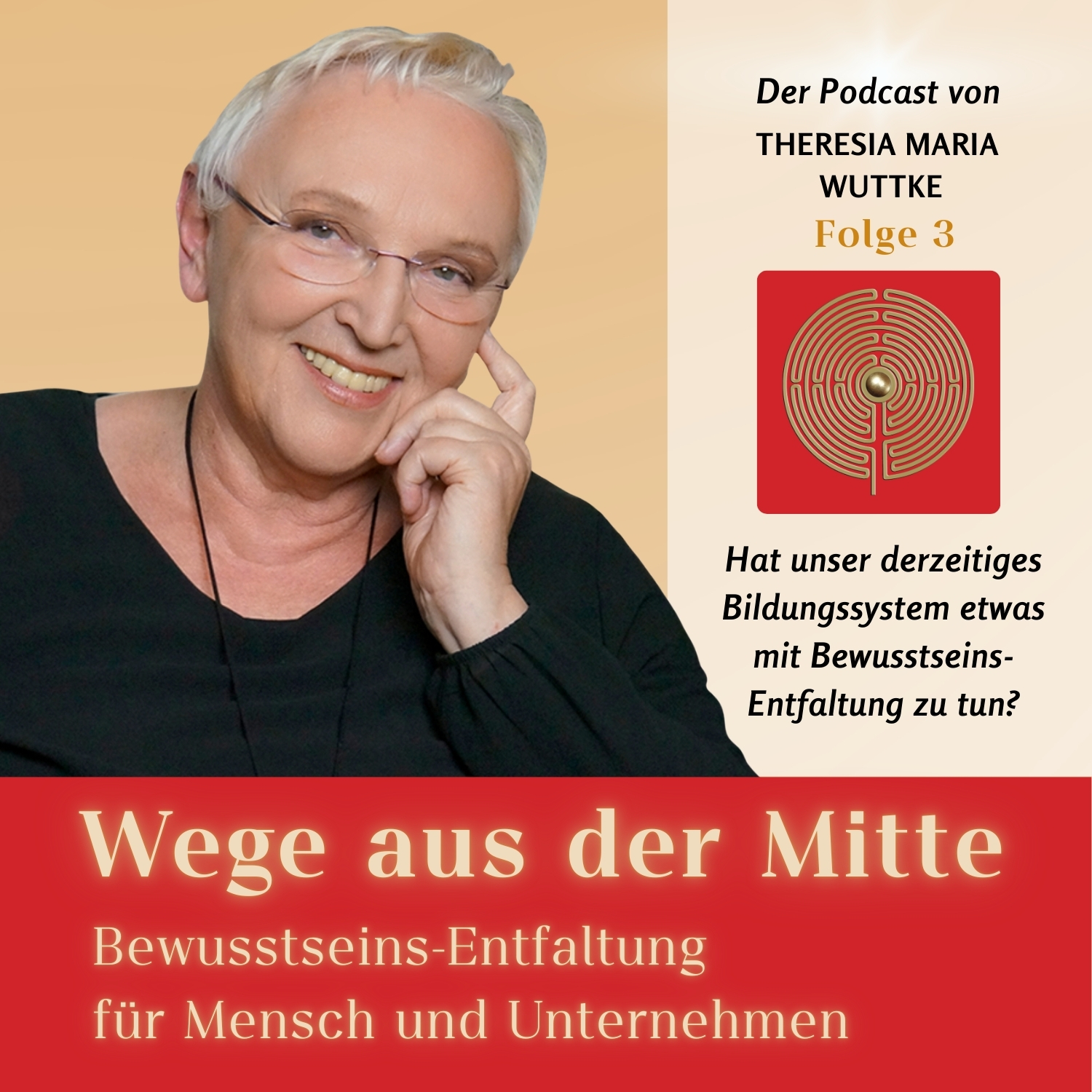 Folge 3 - Hat unser derzeitiges Bildungssystem etwas mit Bewusstseins-Entfaltung zu tun? episode artwork