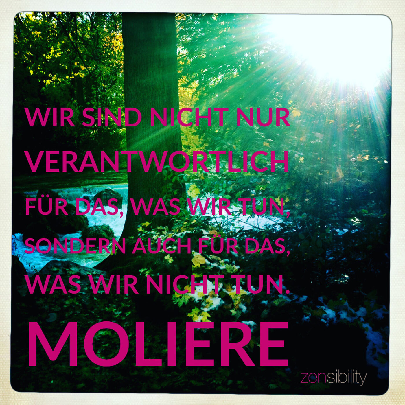 ZENsibility 🌸 - neurodivergente Menschlichkeit energetisch, achtsam, bewusst (er)leben