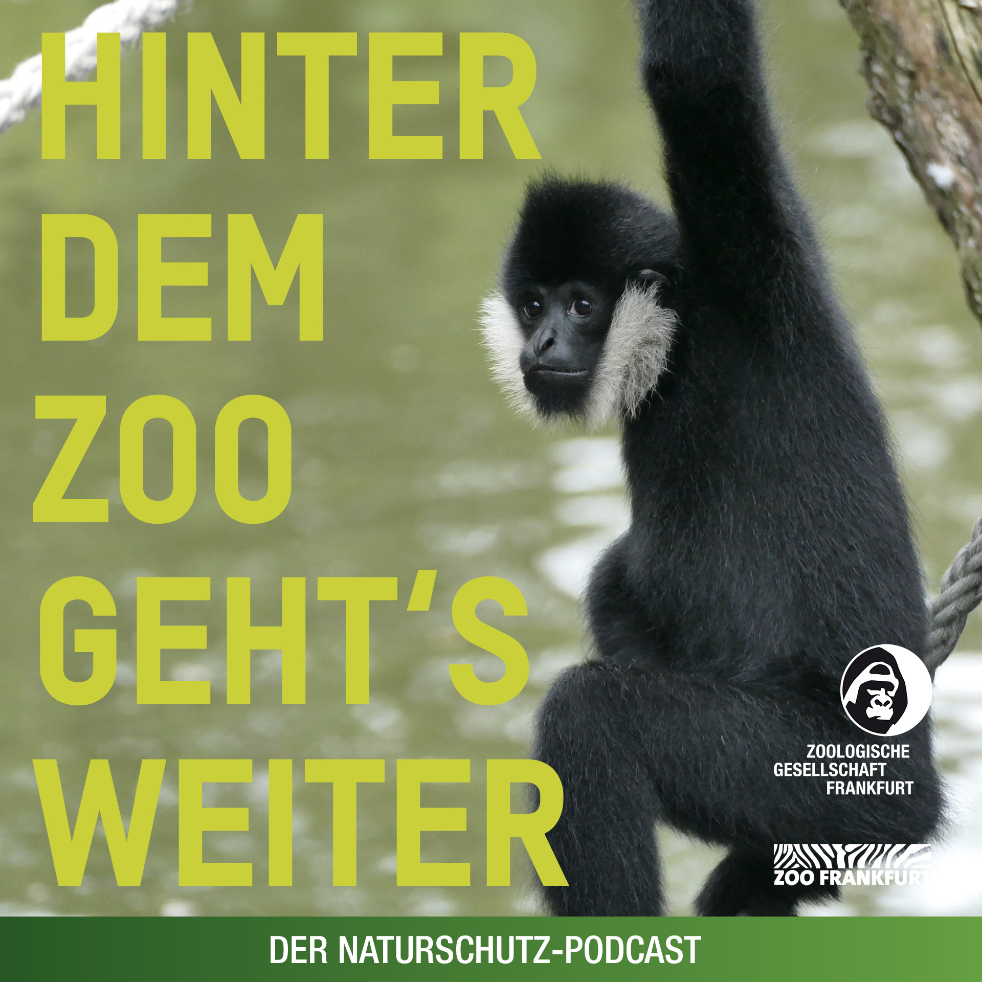 Hinter dem Zoo geht\'s weiter - Der Naturschutzpodcast aus Frankfurt
