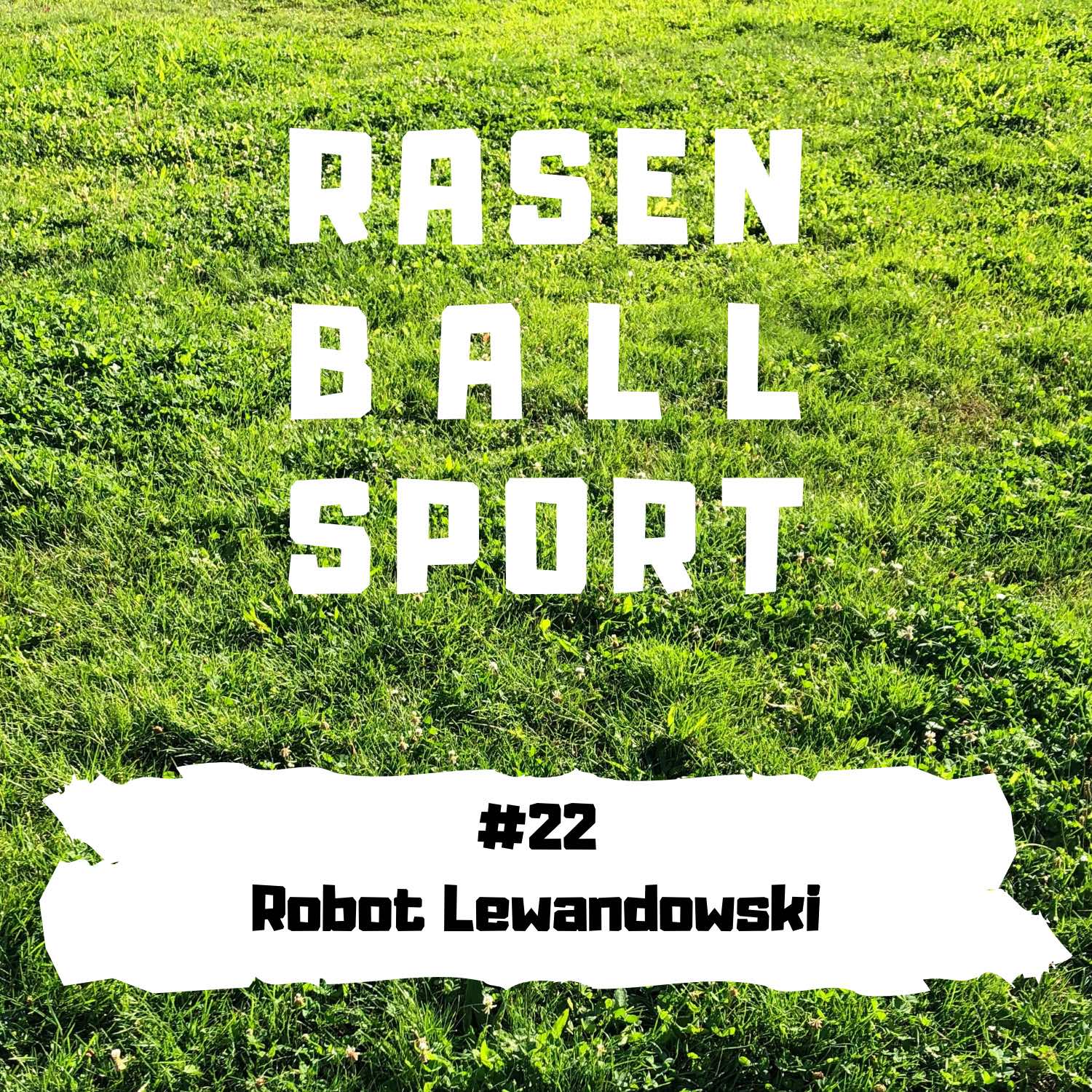 RASENBALLSPOTT