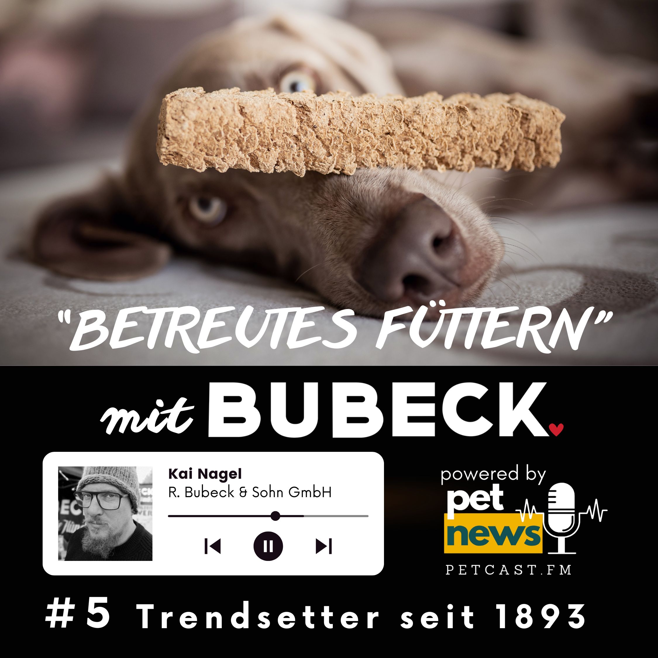 Betreutes Füttern mit Bubeck - Die älteste Hundefuttermanufaktur von 1893