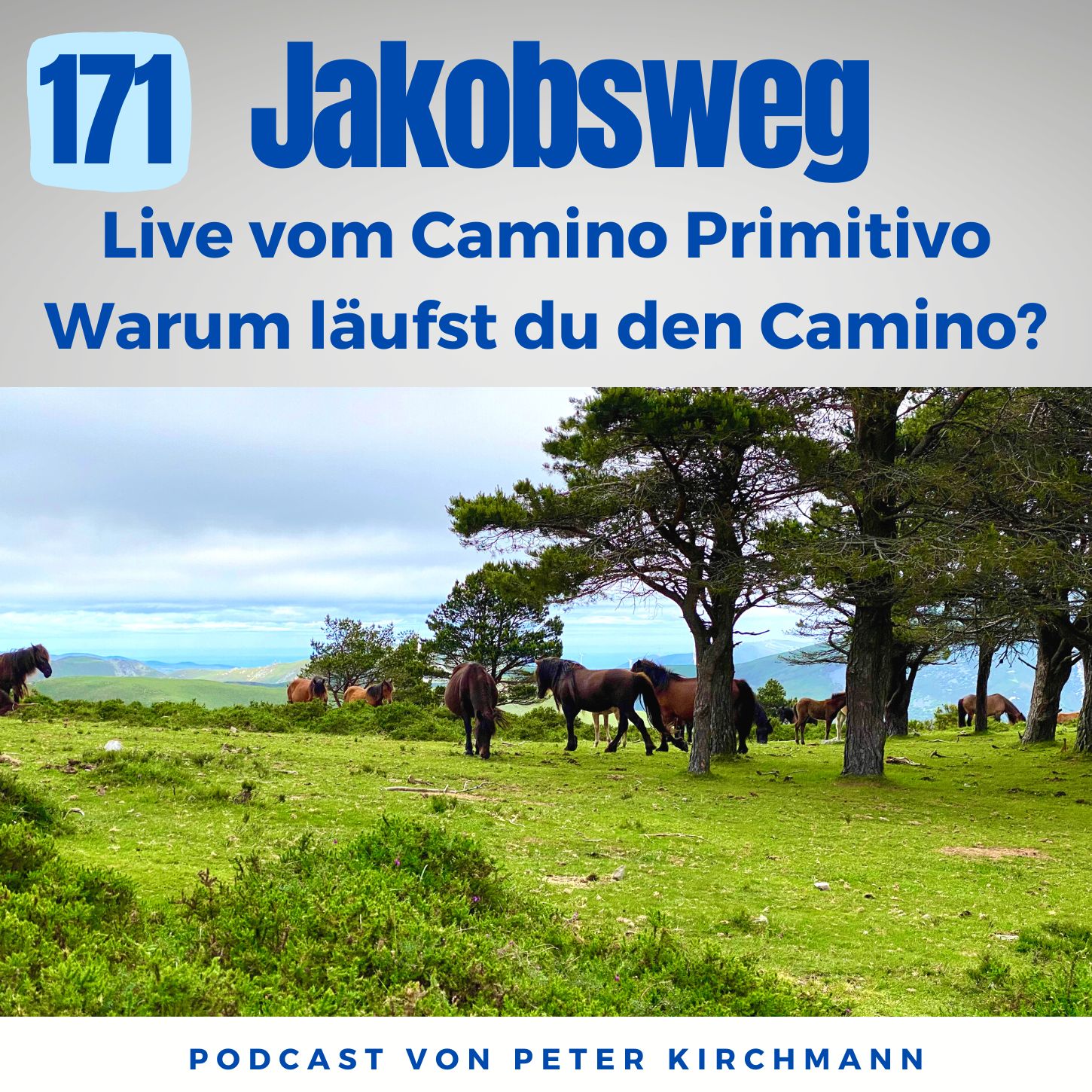 Jakobsweg - Dein Podcast für den Camino de Santiago