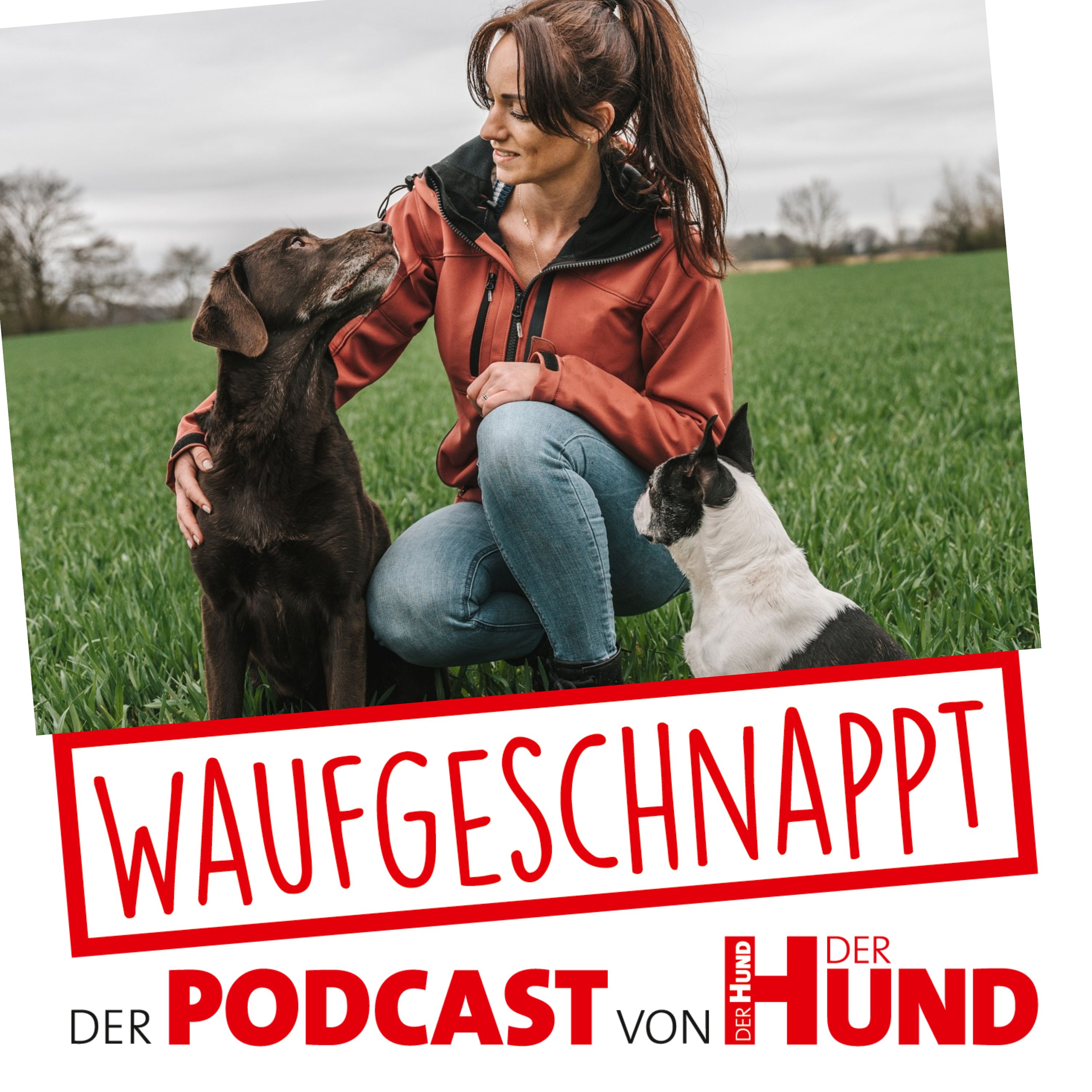 Waufgeschnappt - der Podcast von DER HUND