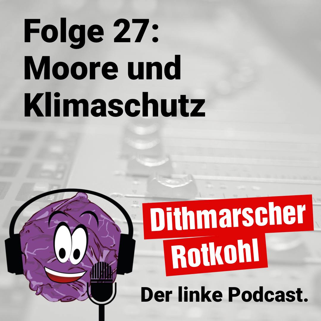 Moore und Klimaschutz