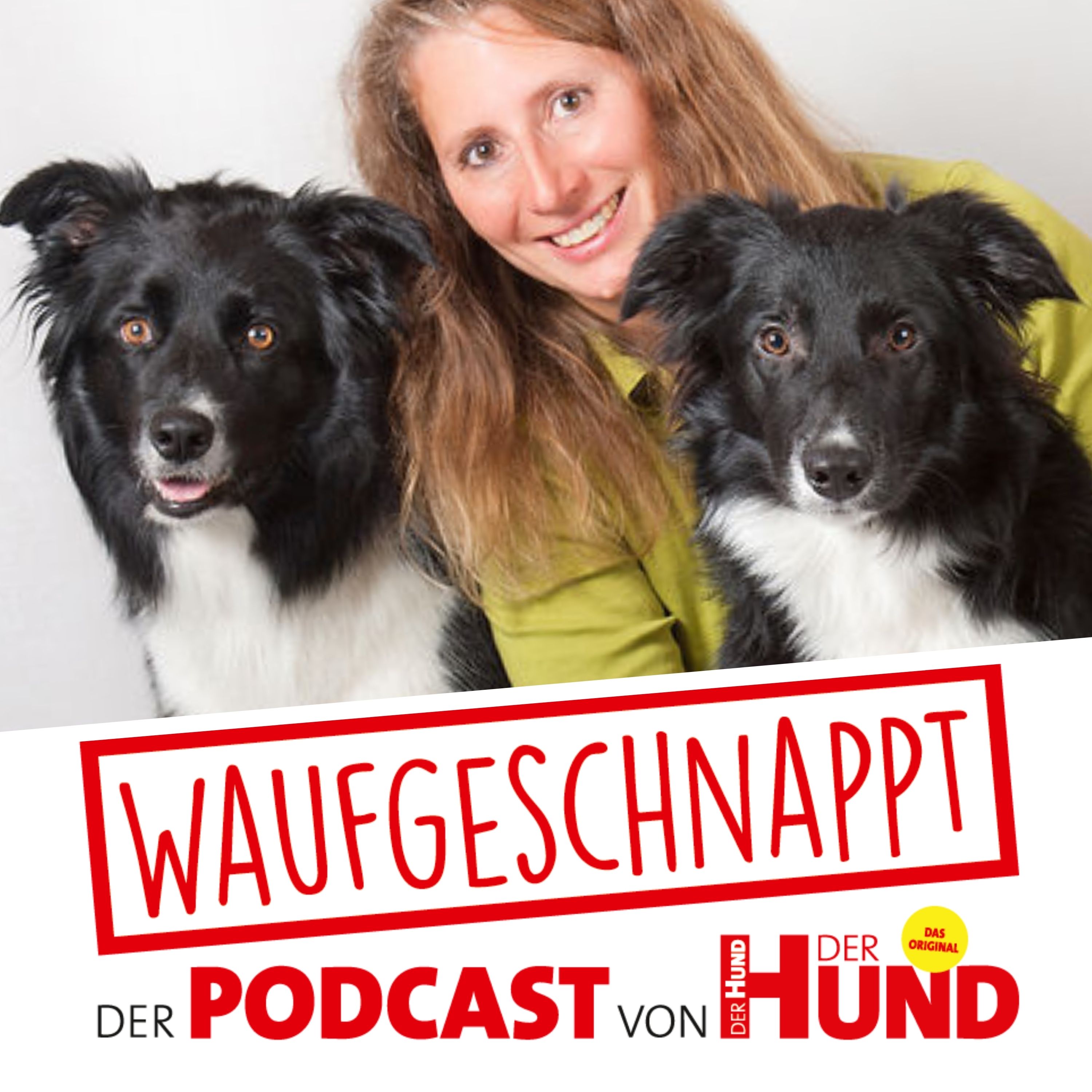 Impulskontrolle Anja Jakob Waufgeschnappt der Podcast von DER HUND