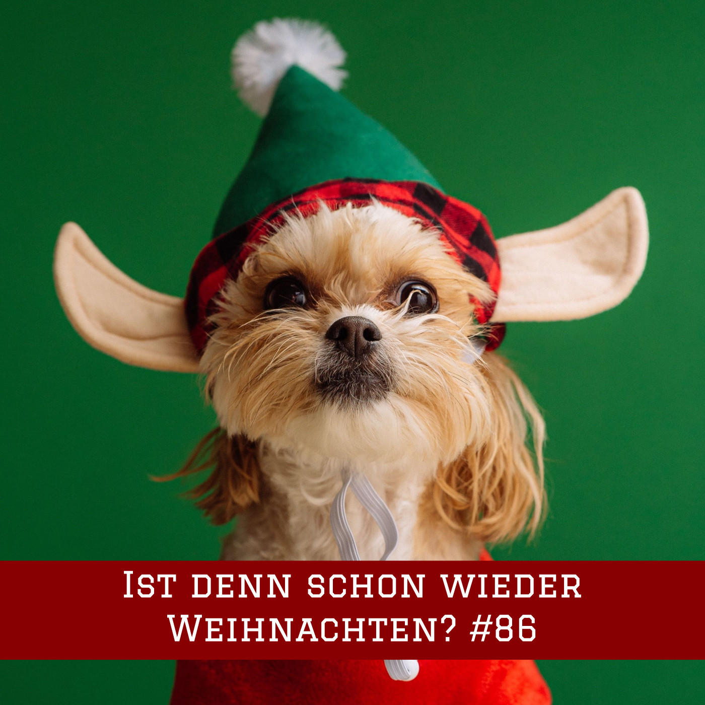 Episode 86 Ist denn schon wieder Weihnachten? Der literarische