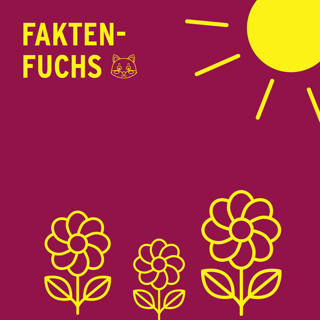 Kurzwelle - das Kindermagazin von Radio Feierwerk