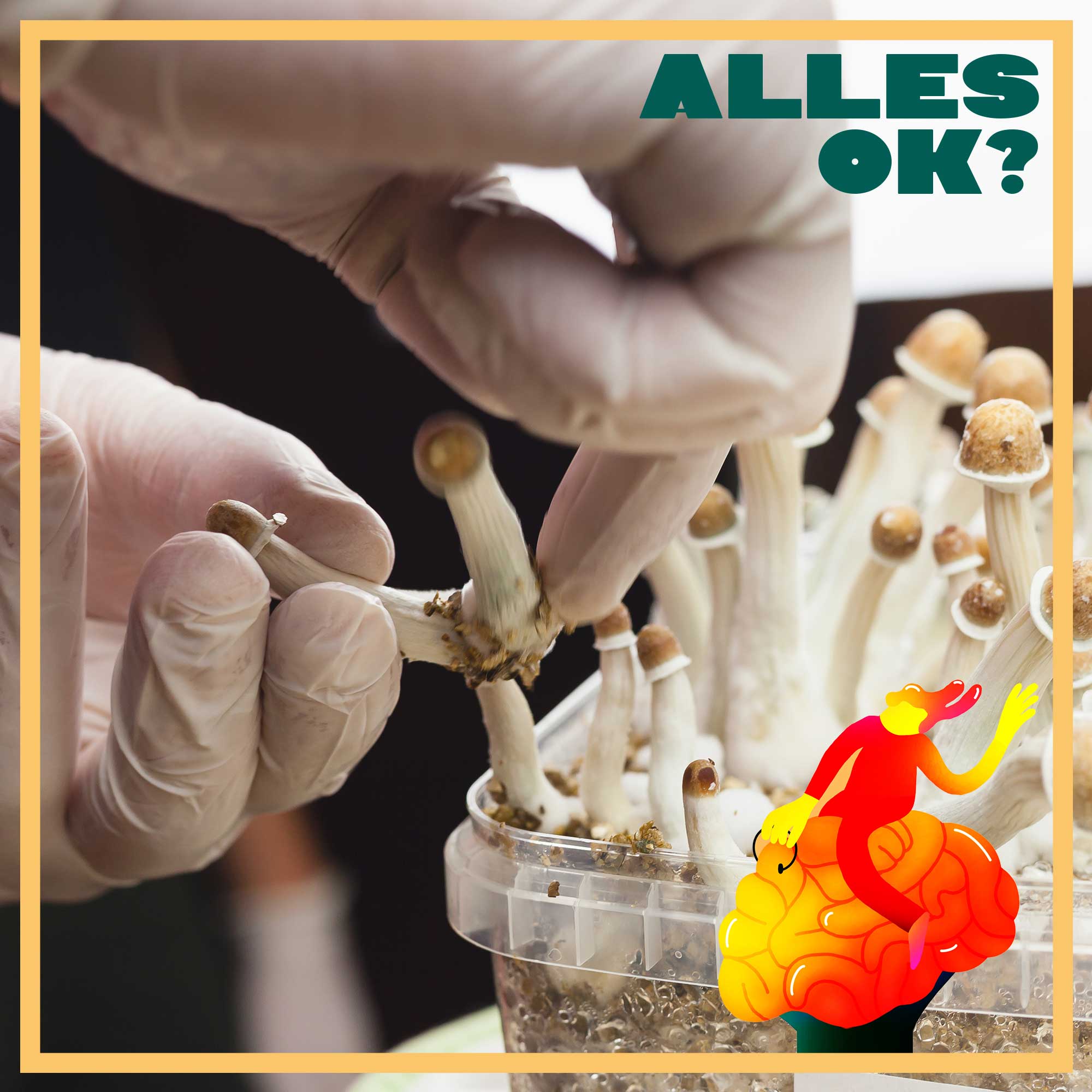 Welche Rolle könnten Psychedelics in Zukunft für unsere mentale Gesundheit spielen?