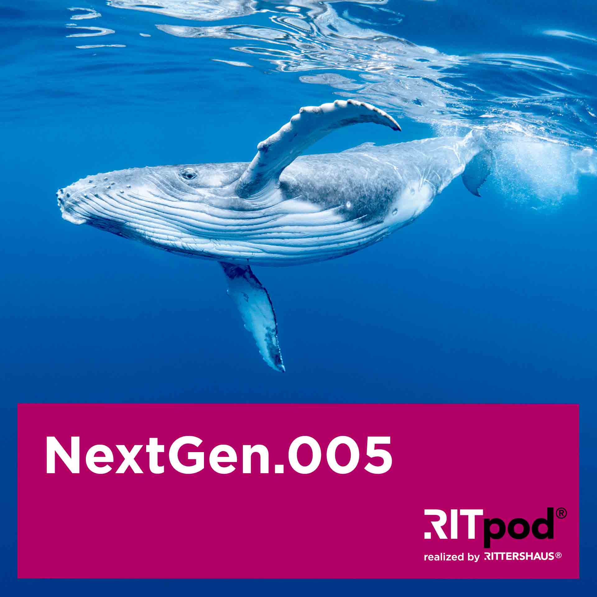 NextGen - Legal Insights zu den Themen Nachfolge, Vermögen und Stiftungen