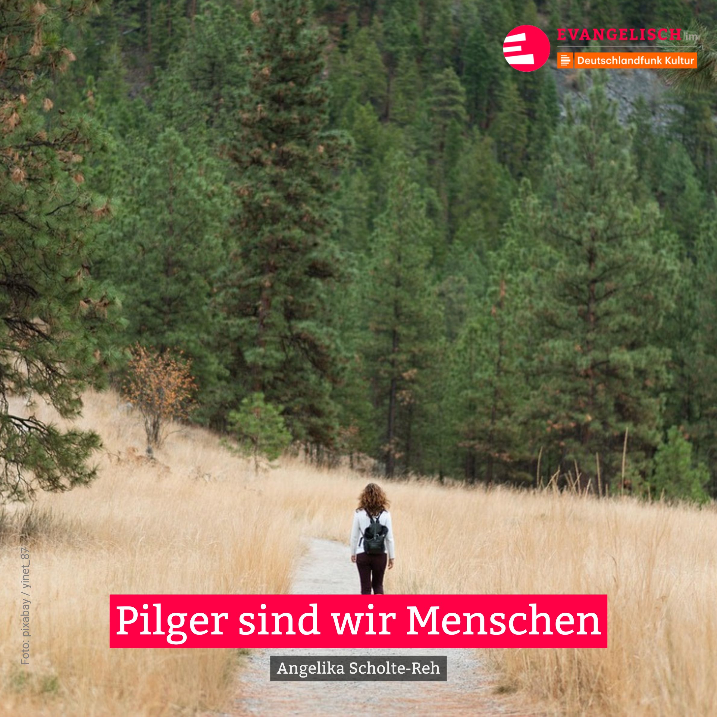 Pilger sind wir Menschen