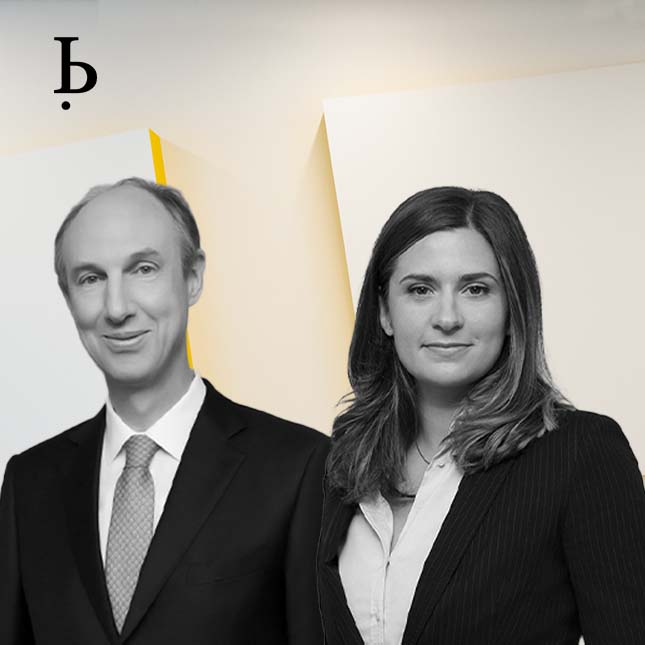 BARDEHLE IP Experts