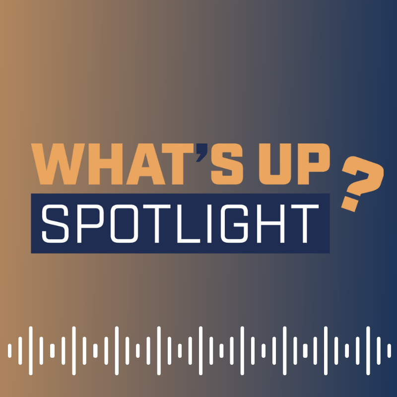 SPOTLIGHT #2: "Portfoliomanagement in unsicheren Zeiten: Protect the core, prepare for more" vom 10. Juli 2023 episode artwork