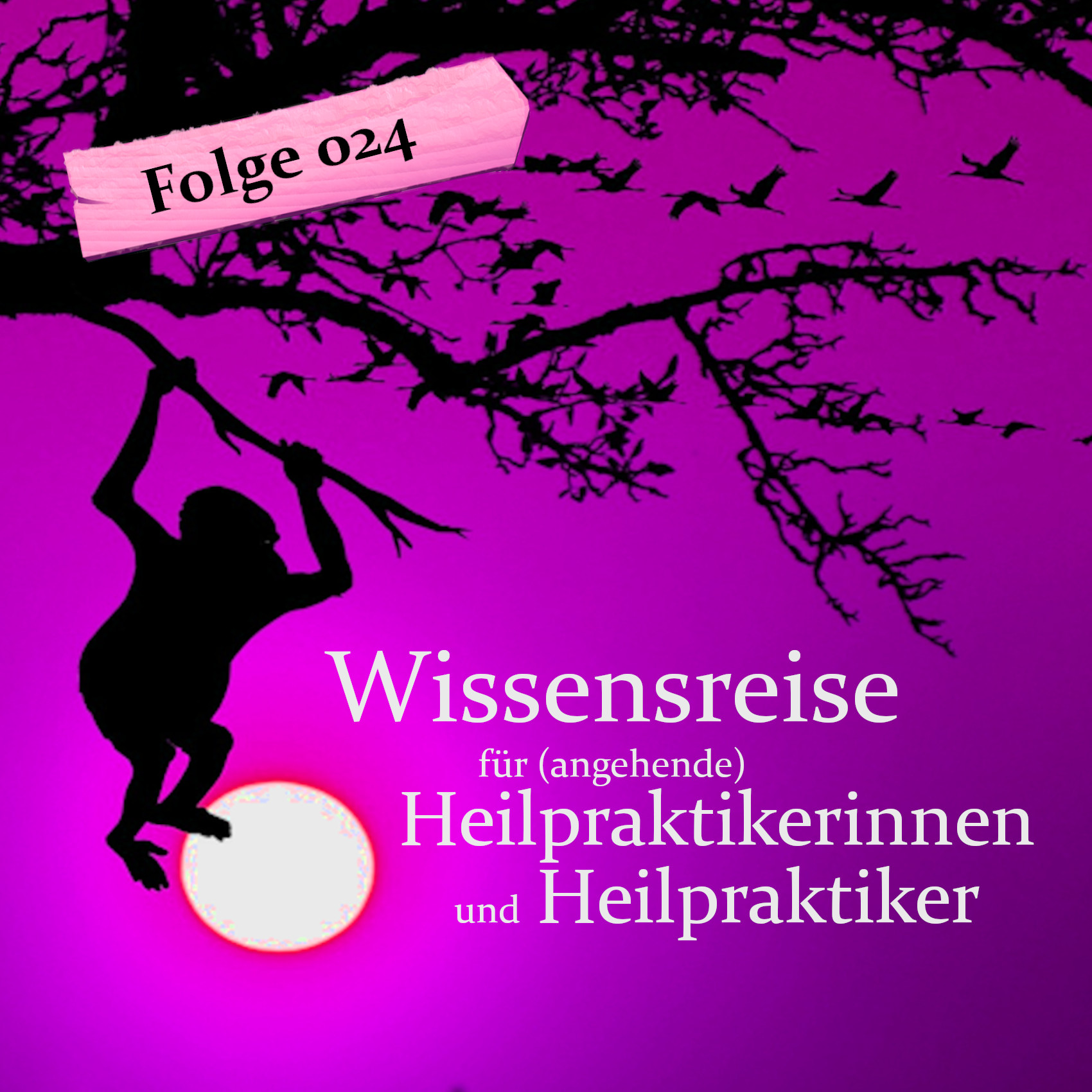 Wissensreise für (angehende) Heilpraktikerinnen und Heilpraktiker